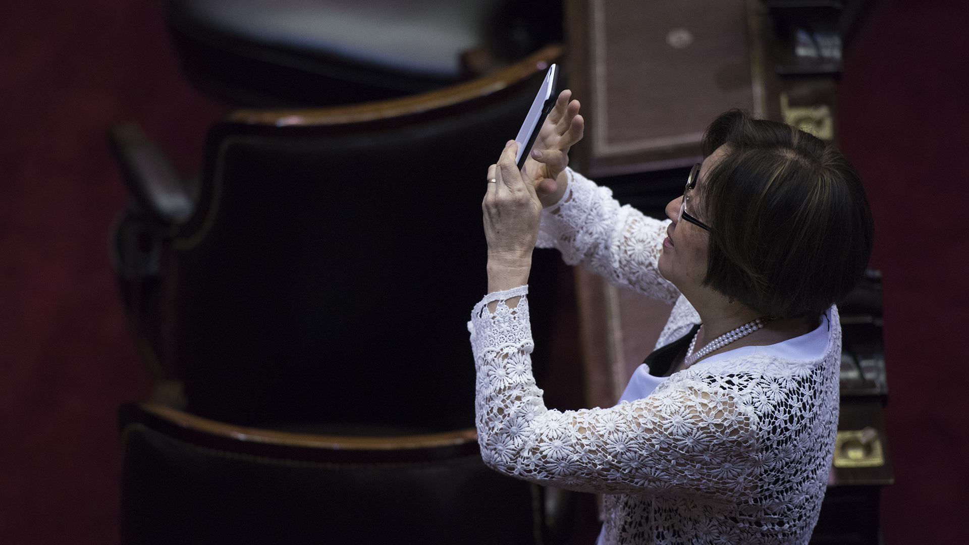 Los diputados sacaron fotos durante la sesión