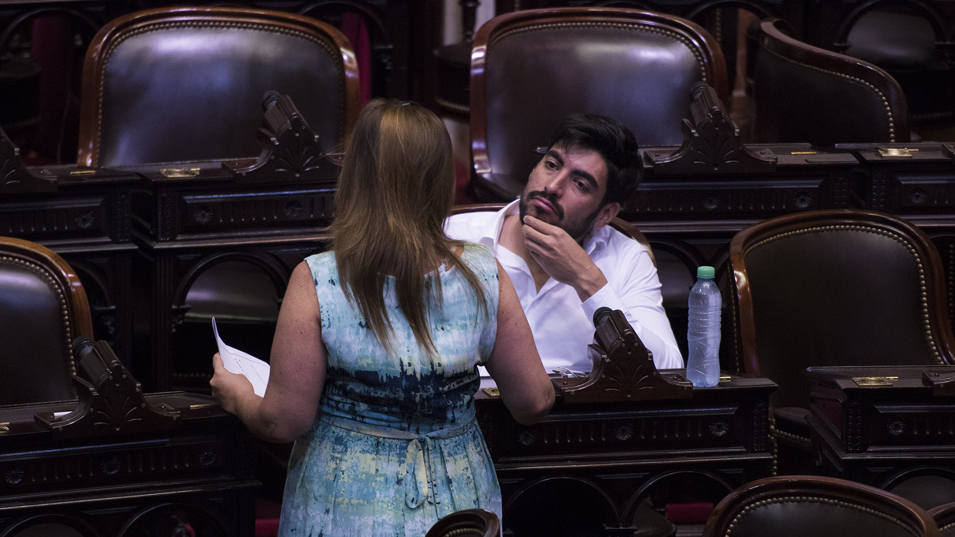 El diputado Facundo Moyano