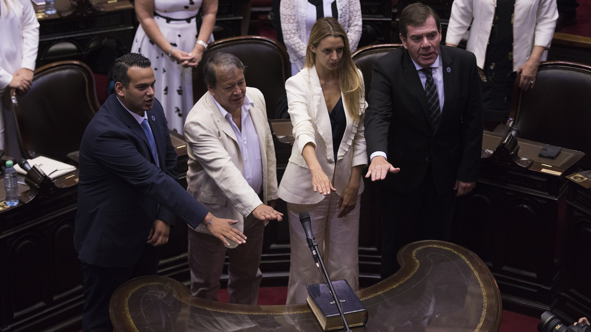 Diputados del oficialismo