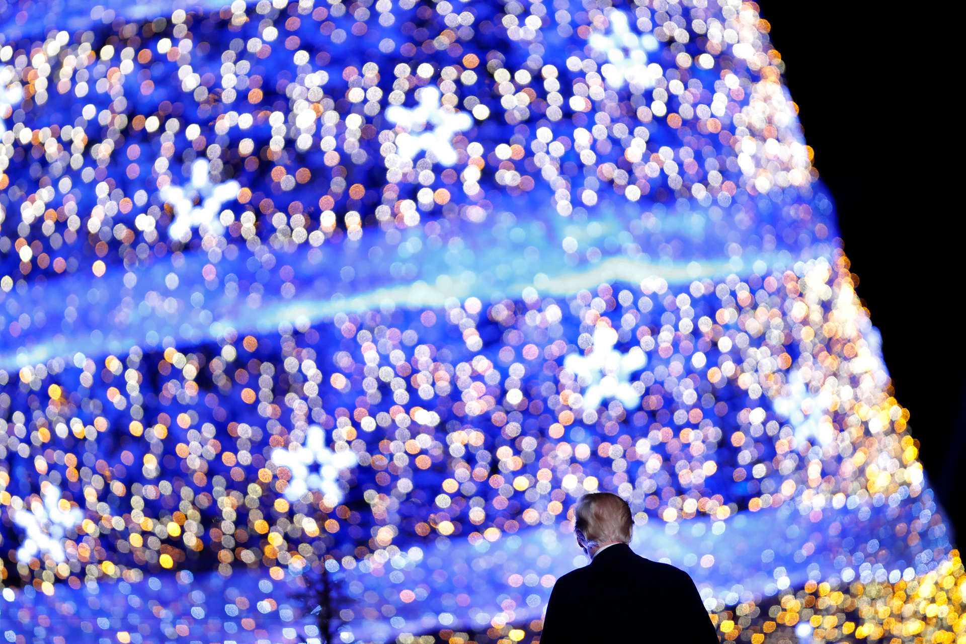 El presidente de los EEUU Donald Trump observa las luces del árbol, cerca de la Casa Blanca