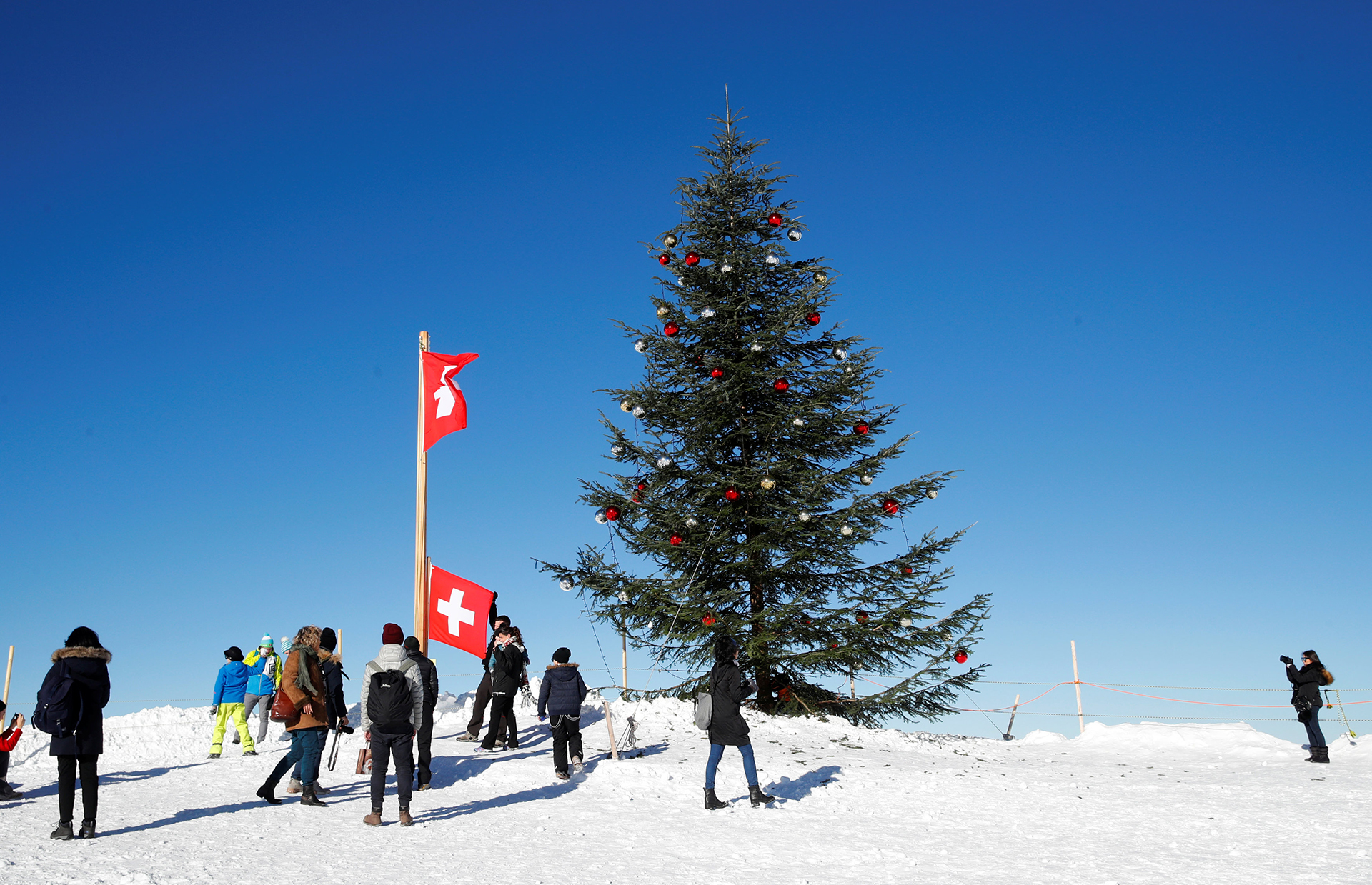 En la cima de una de las montañas nevadas de Suiza han decorado este árbol navideño para deleite de los turistas