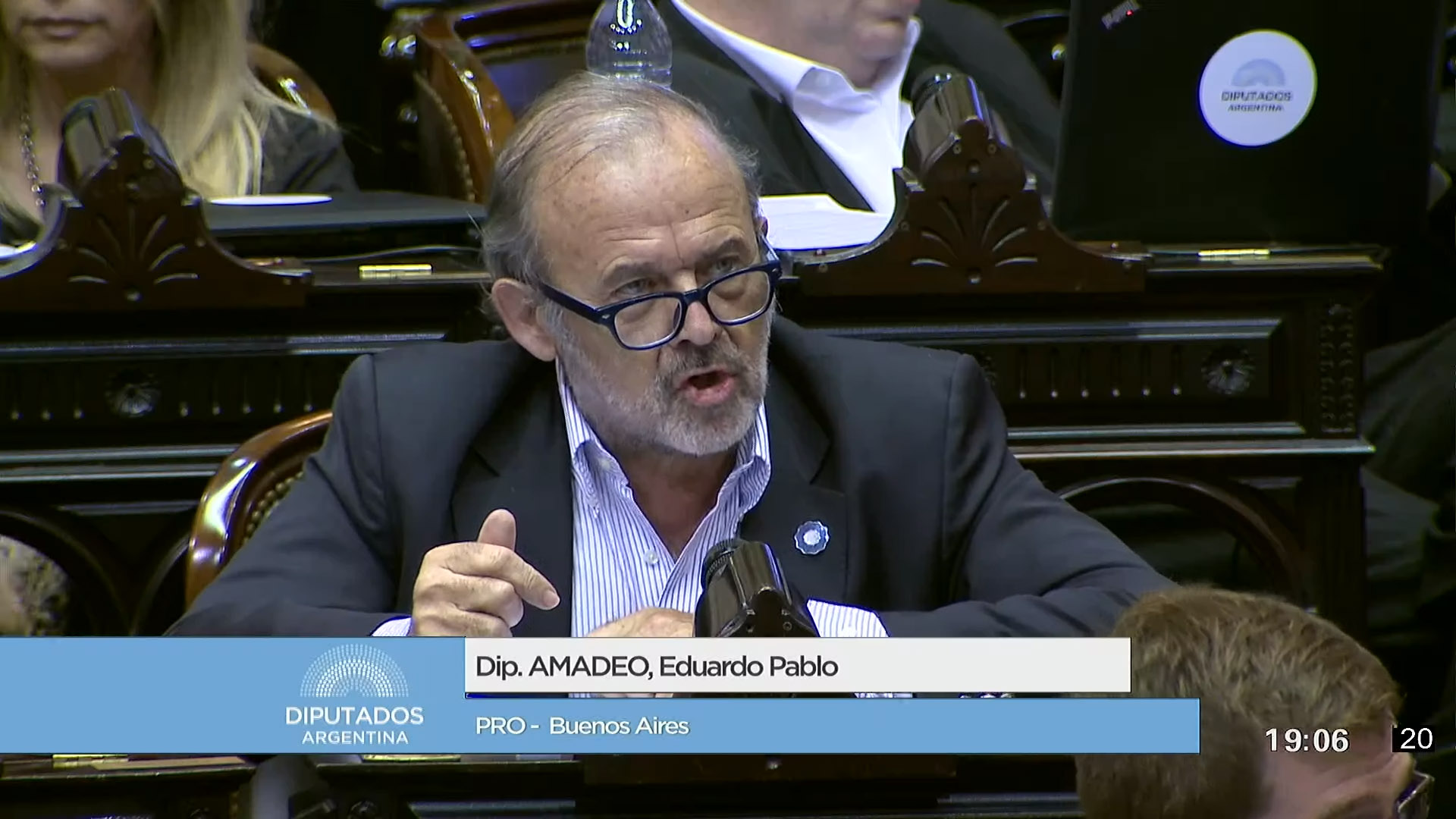 El diputado Eduardo Amadeo