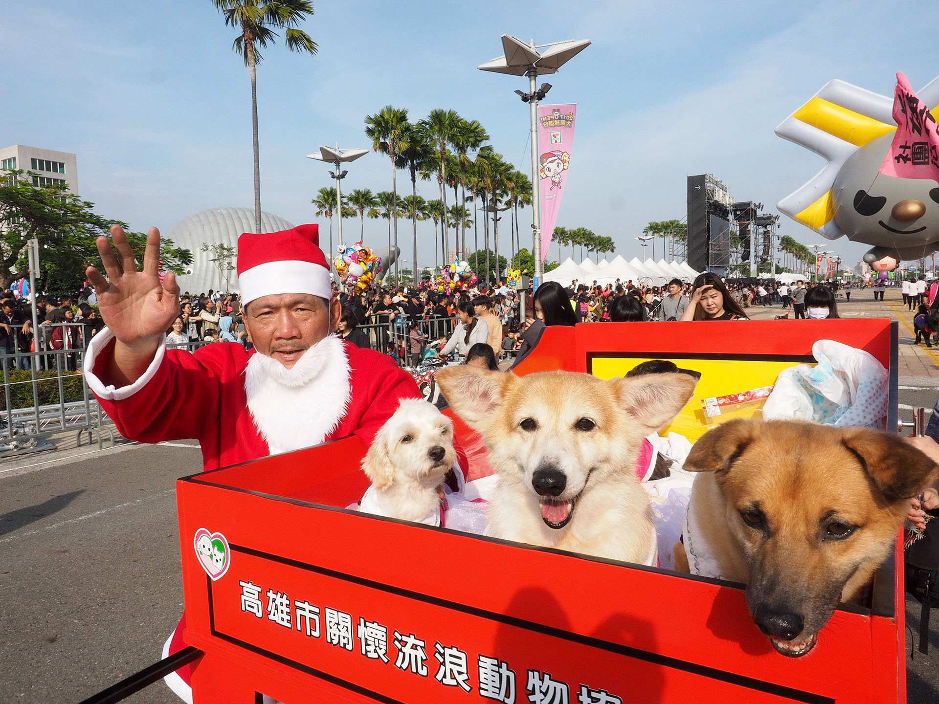 Un hombre vestido de Papá Noel posa para fotografías con perros durante el Desfile de Globos en Kaohsiung, al sur de Taiwán, el 16 de diciembre de 2017. (EFE)