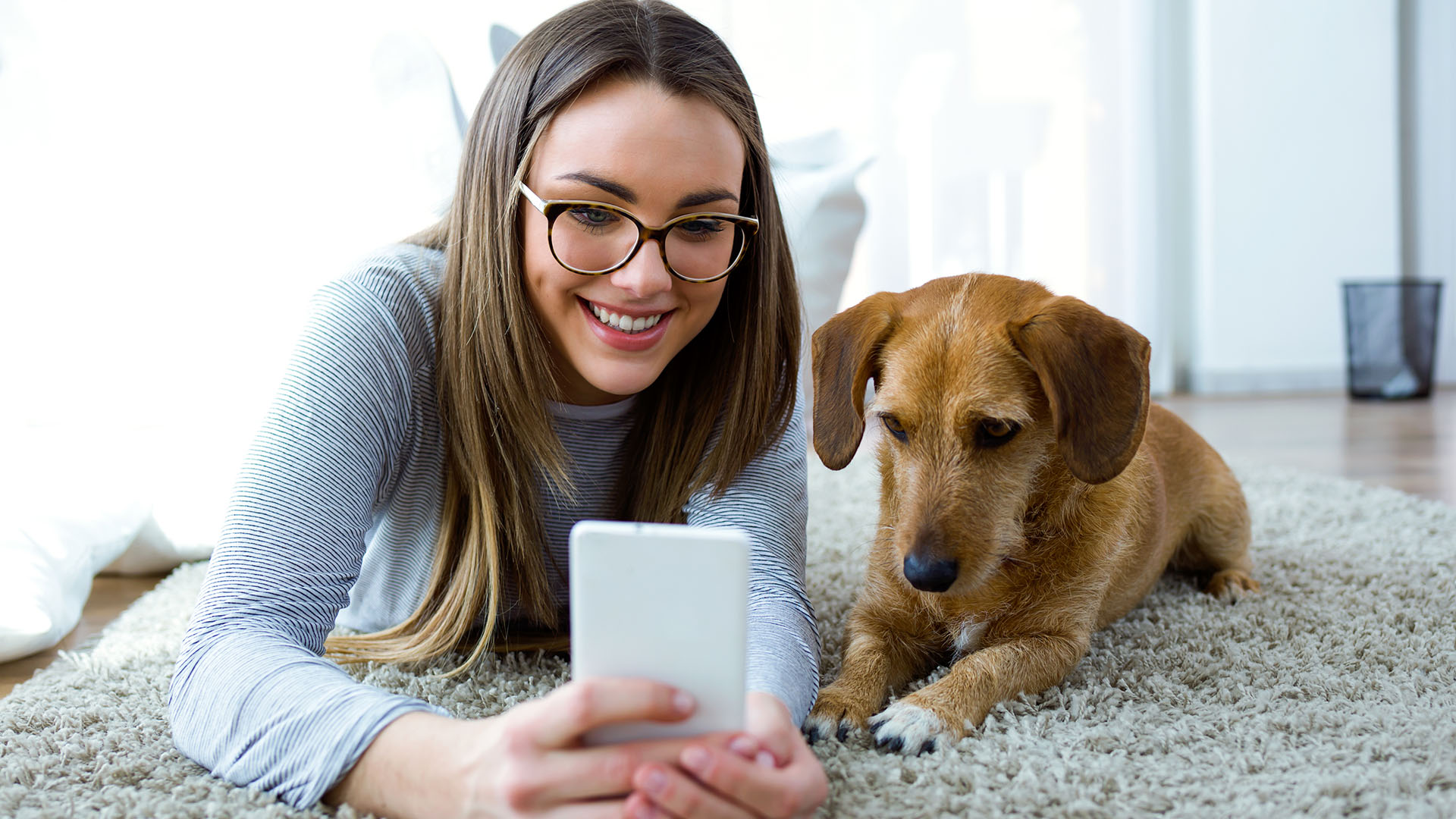 El estudio elaboró un nuevo cálculo en base a la dimensión del animal: los más pequeños viven más que los perros más grandes (Getty)