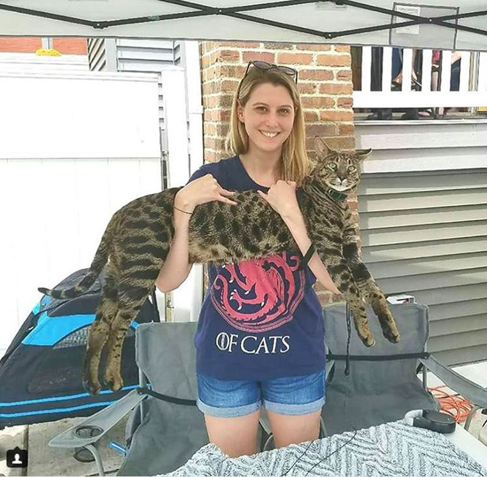Lauren Powers con Arcturus, un gato de dos años, que tiene el récord Guinness del felino más largo de todo el mundo (Cortesía de: starcats_detroit/Instagram)