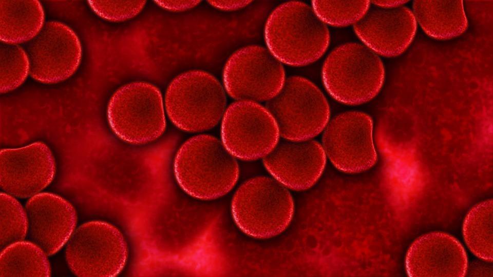 En la sangre podría estar la clave para diagnosticar en forma temprana esta enfermedad