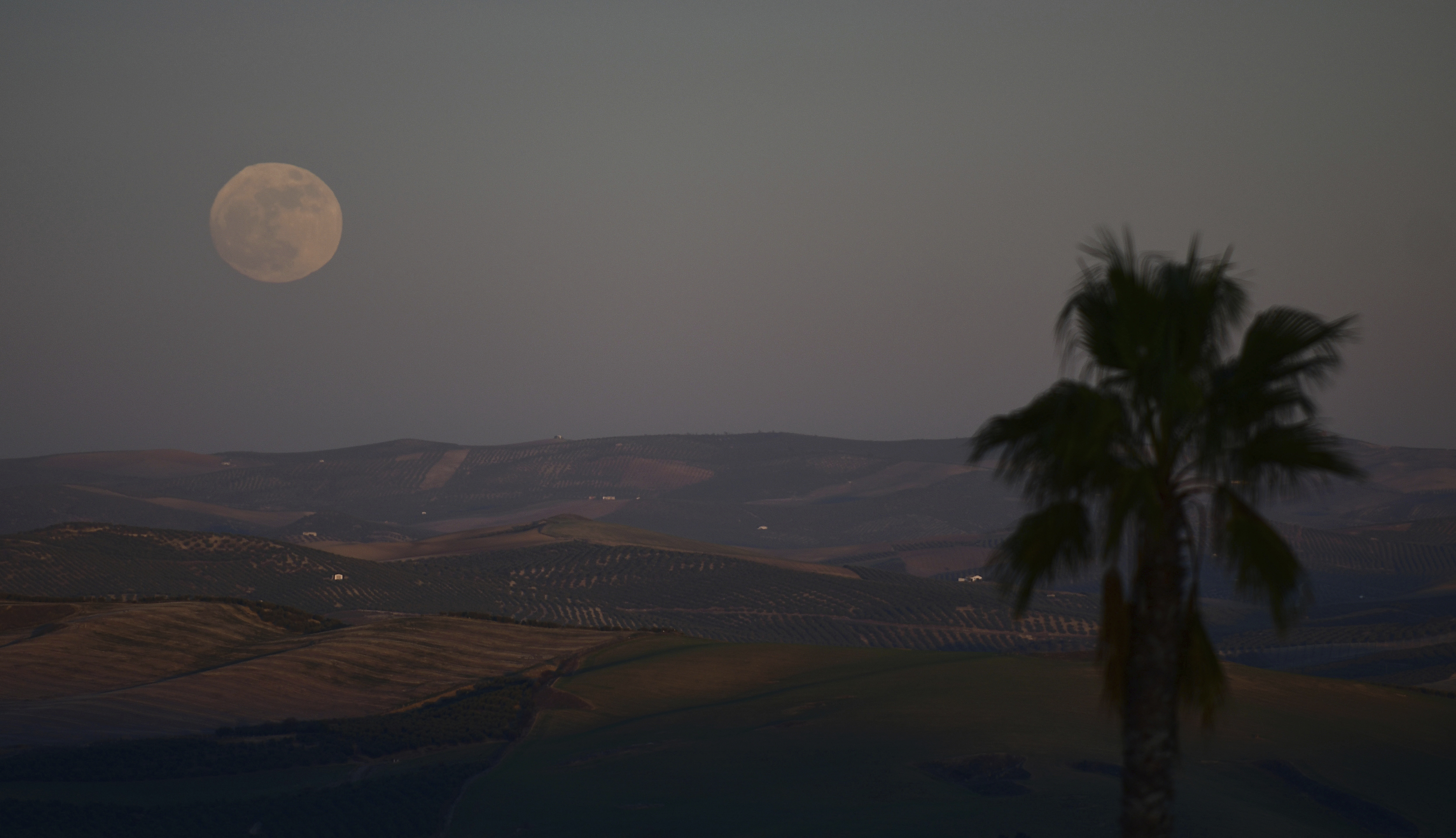 Superluna en Montemayor cerca de Córdoba, en el sur de España (AP/Manu Fernandez)