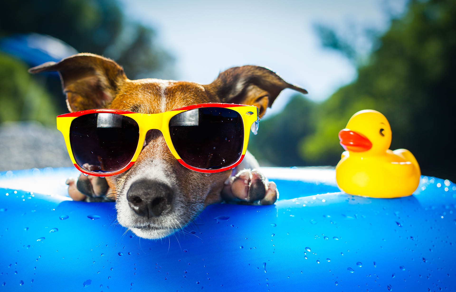 El “golpe de calor” es el aumento patológico de la temperatura corporal debido a las altas temperaturas y humedad ambiental (Getty)