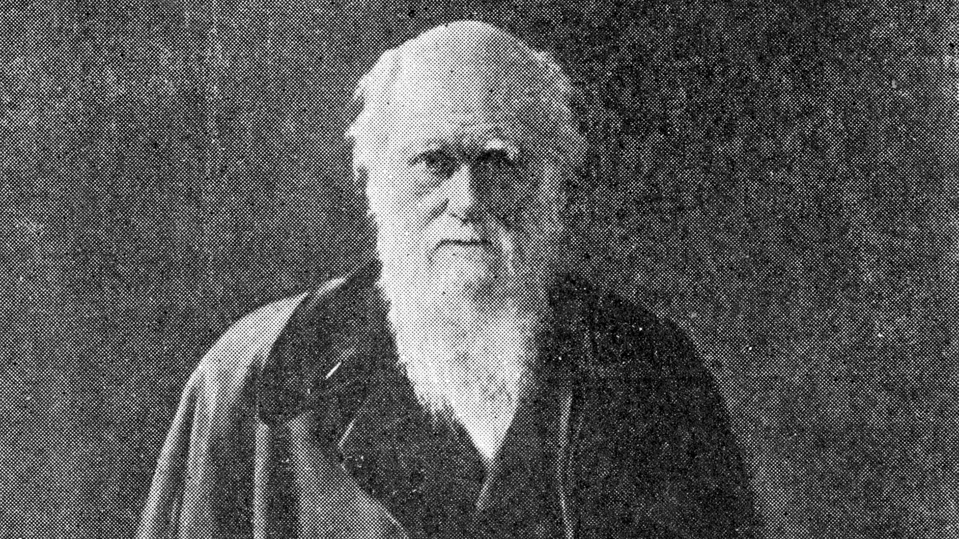 Científicos estadounidenses encontraron una explicación a una realidad que Charles Darwin catalogó como “abominable misterio” hace casi 150 años sobre las plantas con flores (Getty Images)