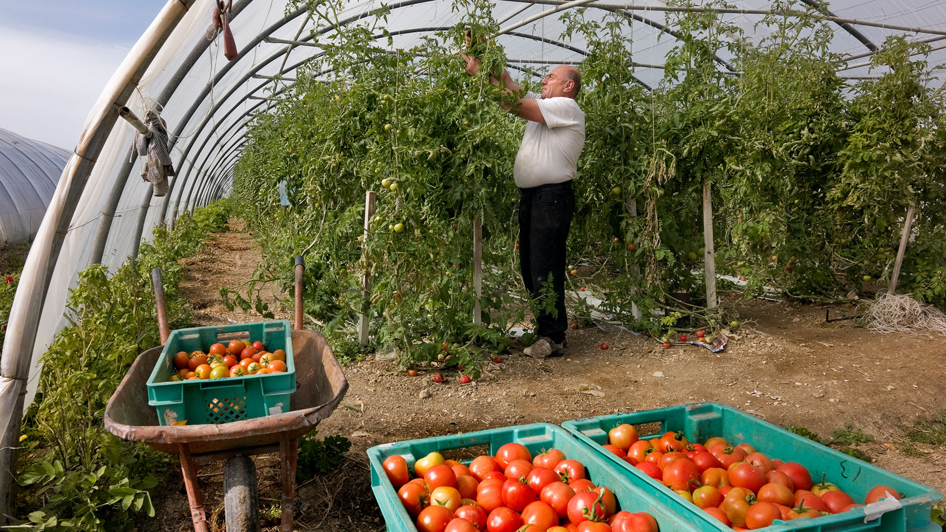 Para recuperar la competitividad hay mucho para hacer en comercio exterior, sustentabilidad y la cuestión impositiva