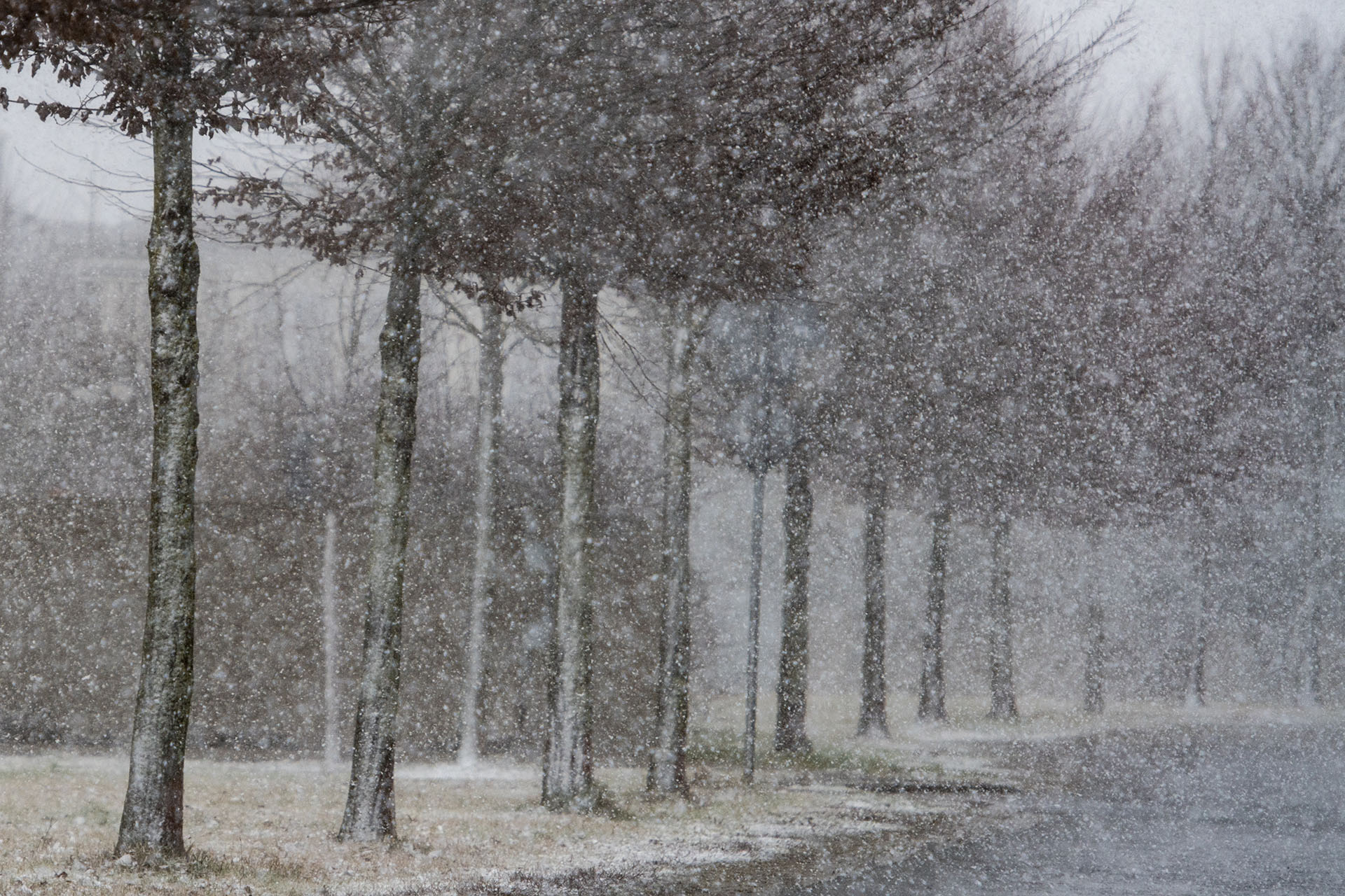 Imagen de Straubing, en el sur de Alemania (AFP)