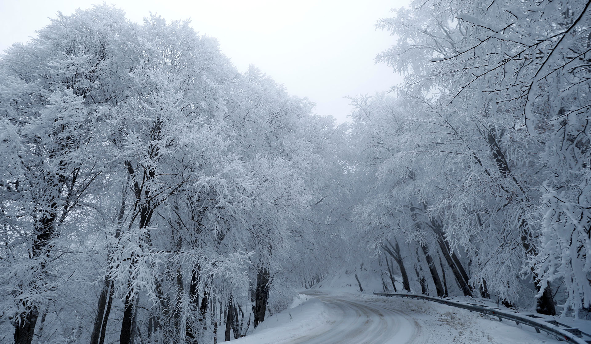 Árboles nevadis en Tbilisi, Georgia, el 16 de enero de 2018 (Reuters)