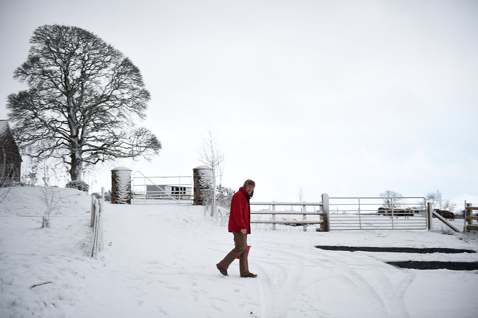 Un hombre alimenta a sus ovejas en la nieve en Hillsborough, Irlanda del Norte el 16 de enero de 2018 (Reuters)