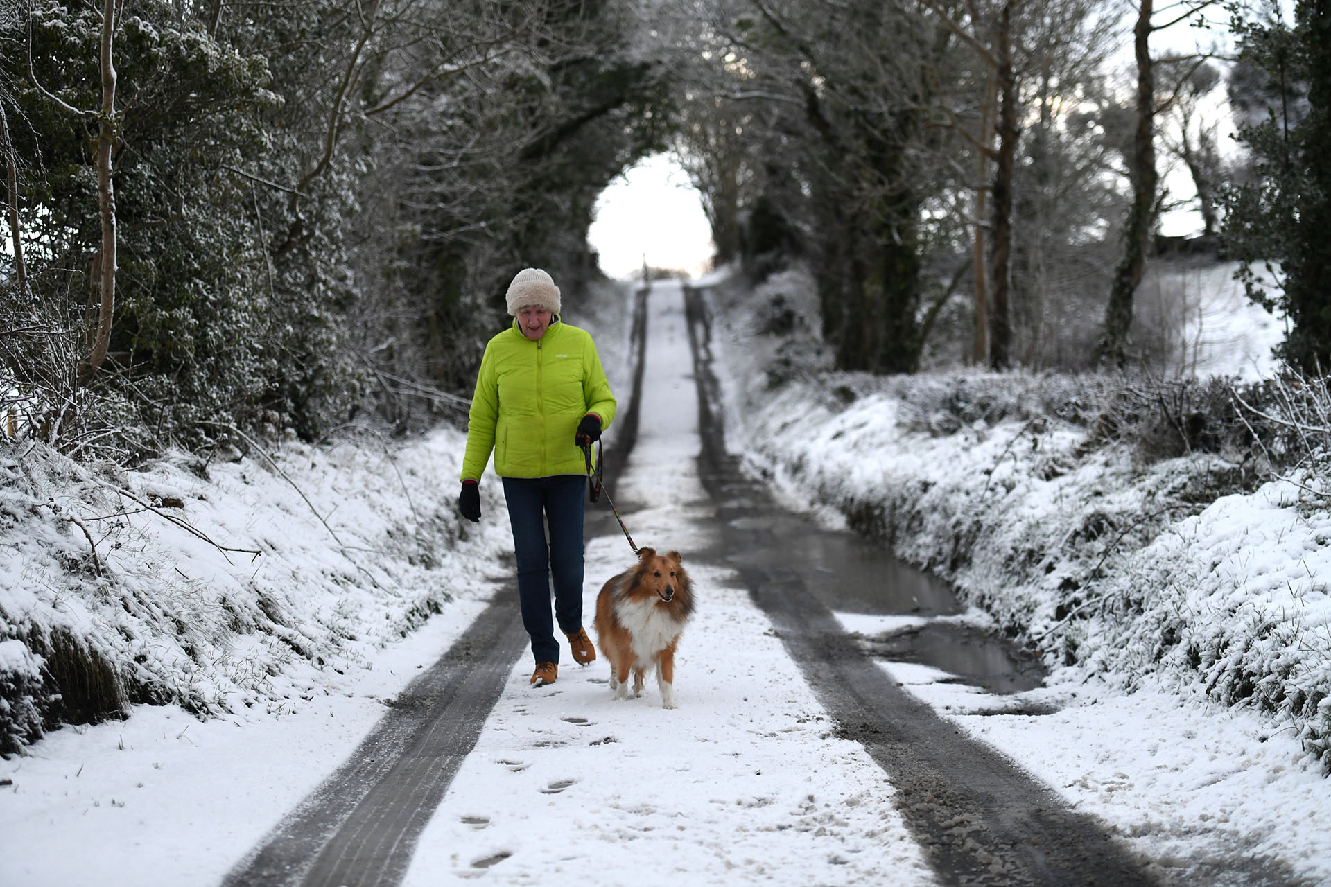 Una mujer camina a su perro en Hillsborough, Irlanda del Norte, el 16 de enero de 2018 (Reuters)