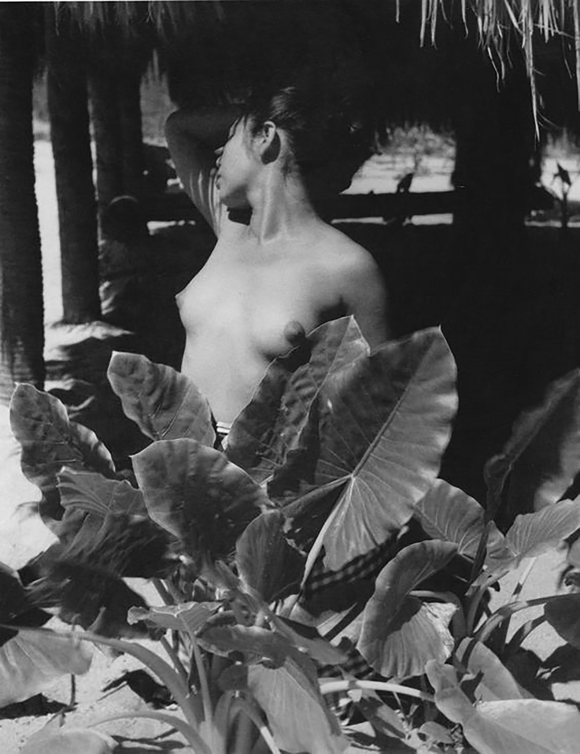 Lola Álvarez Bravo, “Tríptico de los martirios II” (1950)