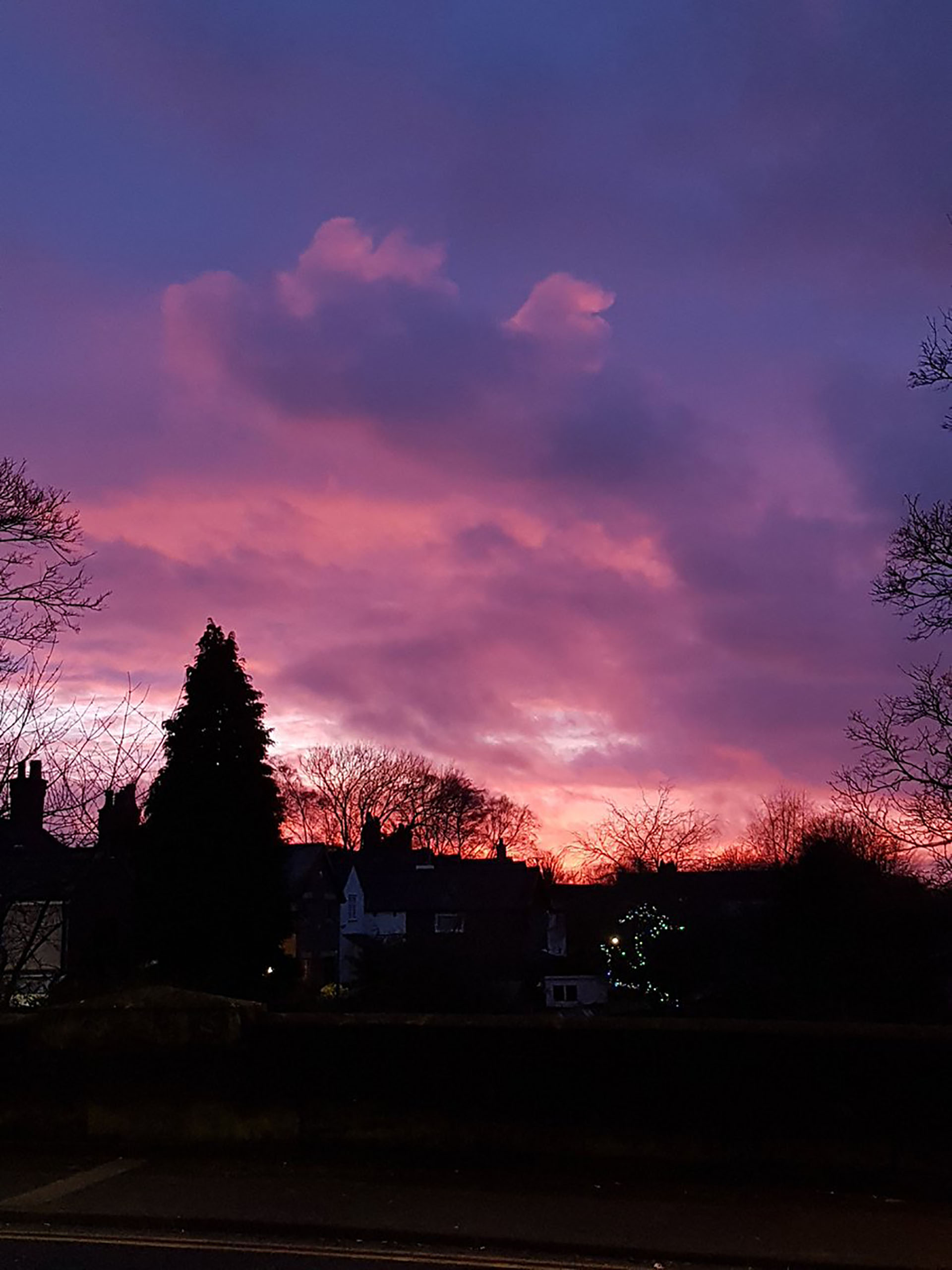 La maleza mezclada con el cielo violeta de Gran Bretaña