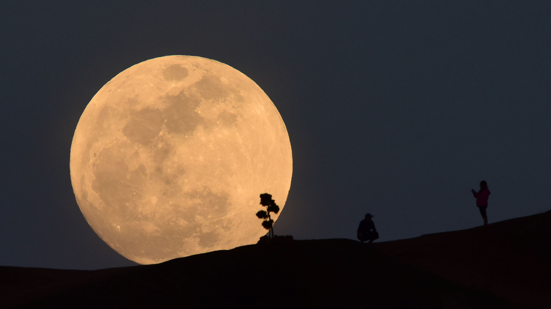 (Foto: Robyn Beck /AFP)
