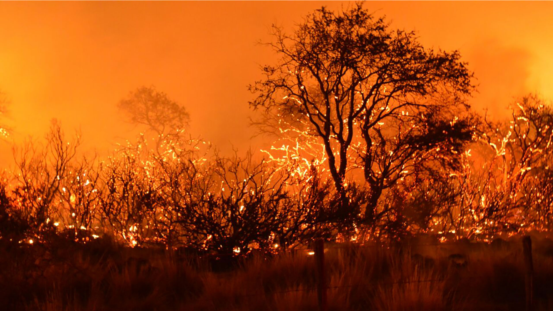 Imágenes sobre los incendios en La Pampa, en febrero de 2018.