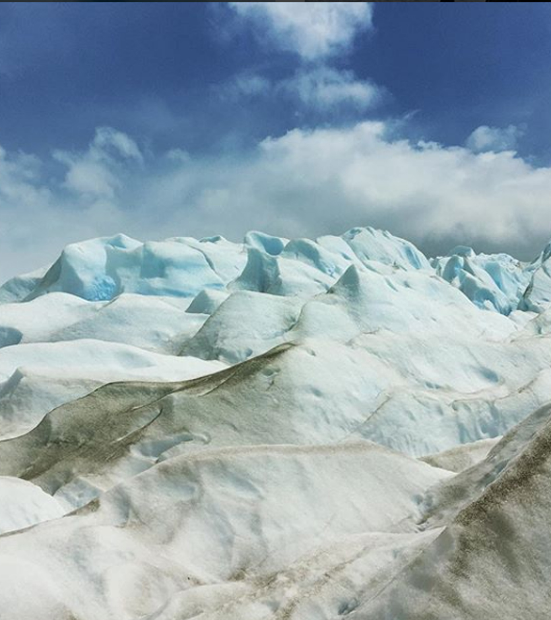 La posibilidad de una isla, exactamente con estos colores y silencios