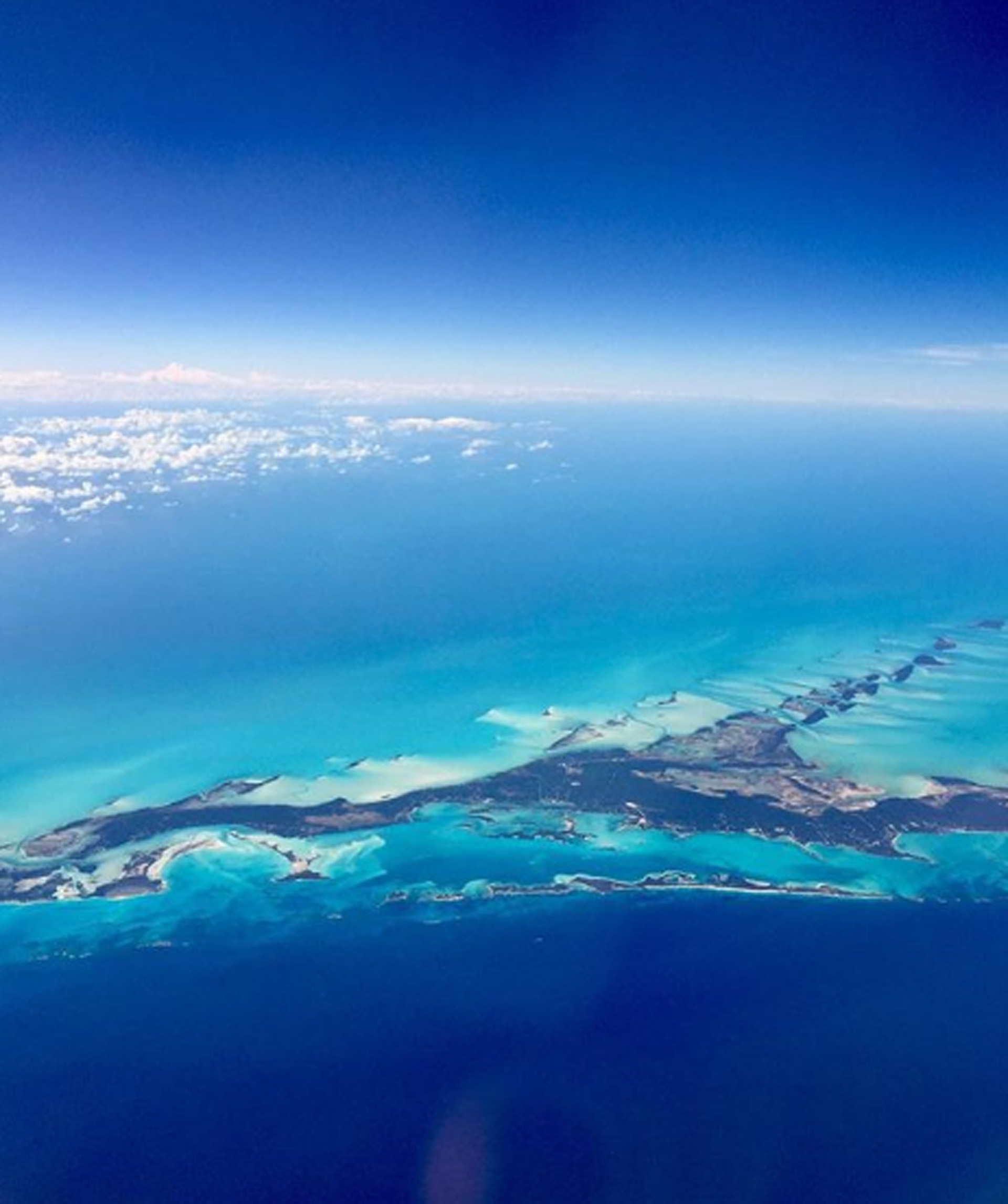 La posibilidad de una isla, exactamente con estos colores y silencios