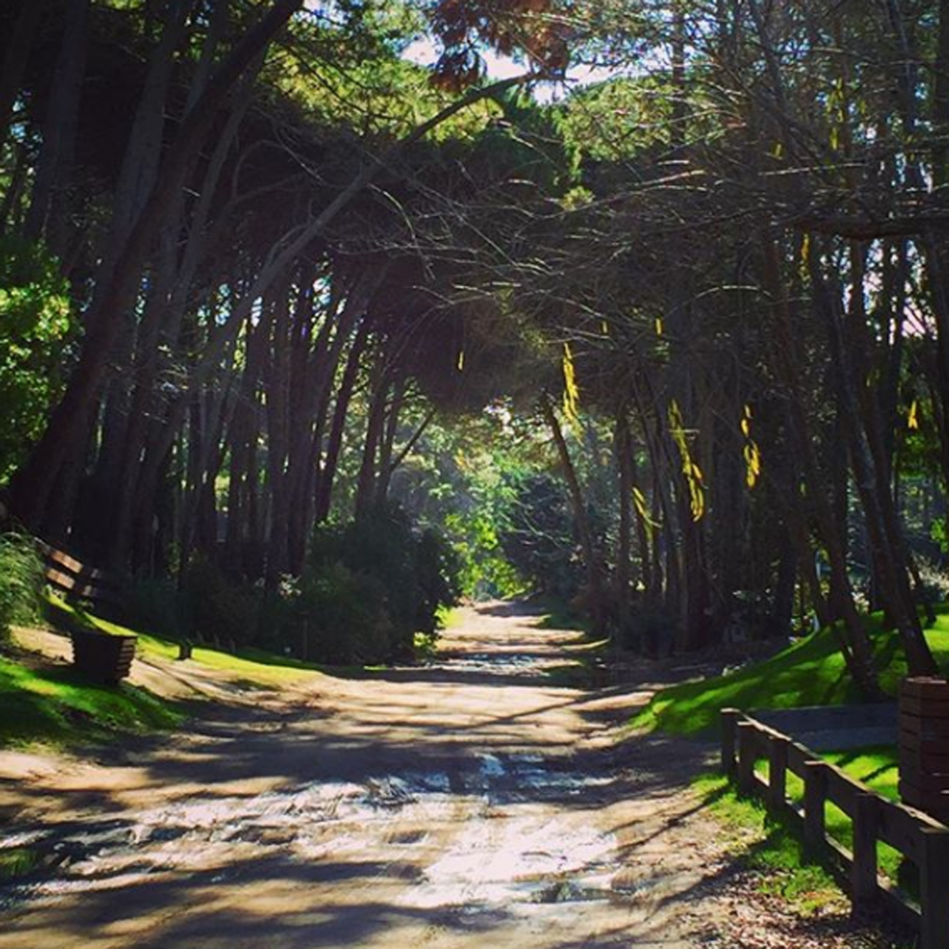 Simplemente salir a caminar