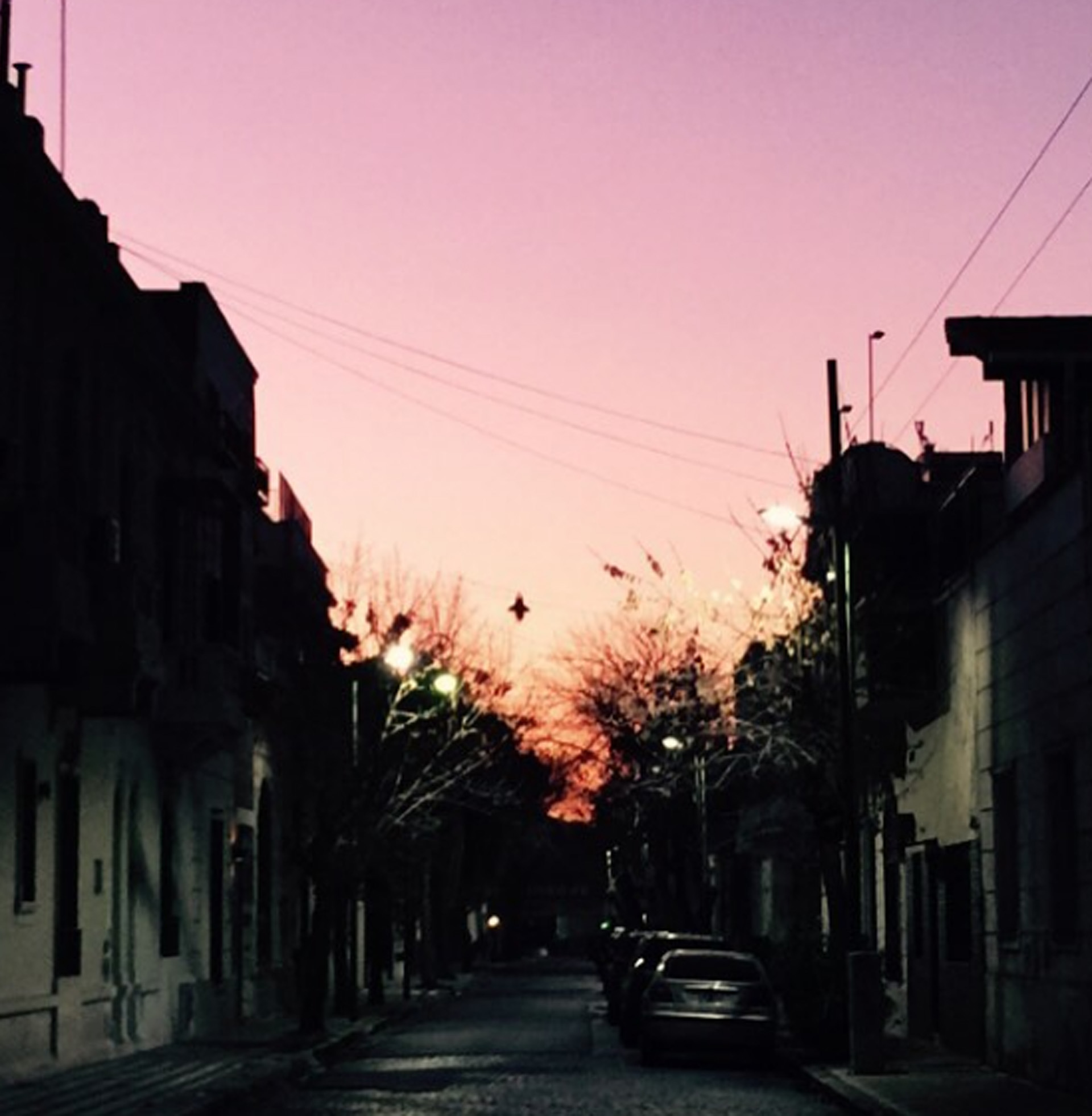 Volver a casa
