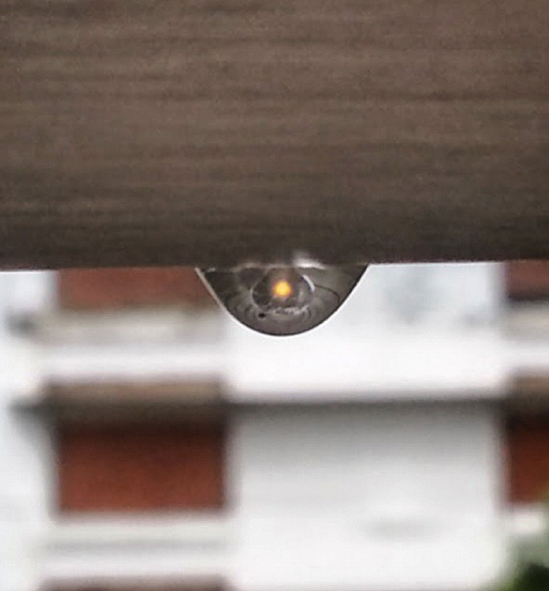 Gota, refugio, secreto