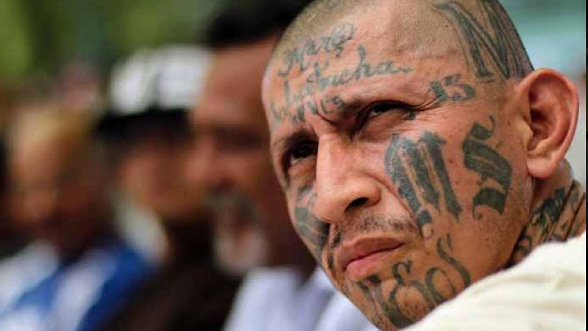 Get Senal de la mara salvatrucha Desktop Wallpaper
