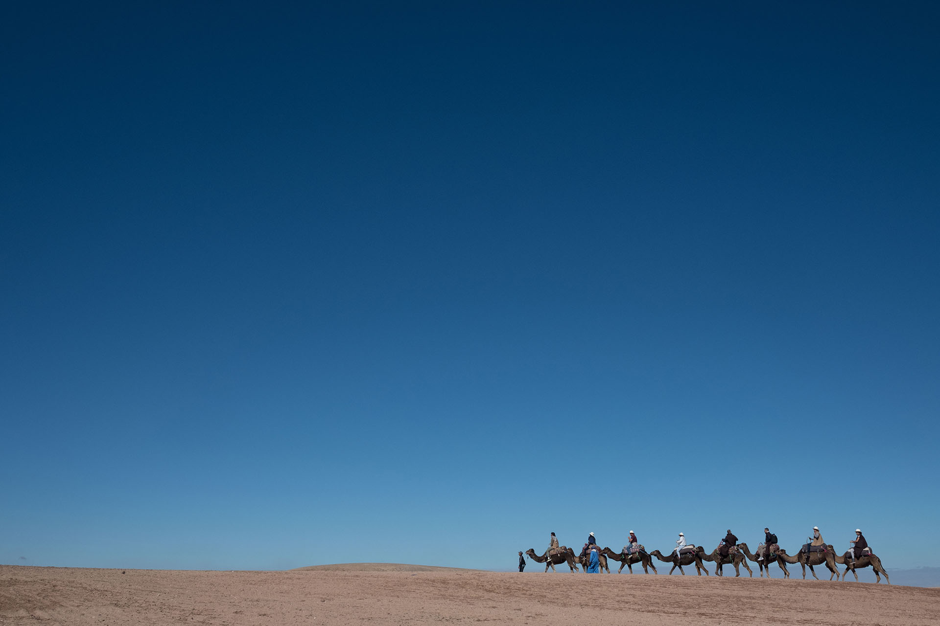 Los invitados disfrutaron de una travesía por el desierto de Agafay a bordo de camellos