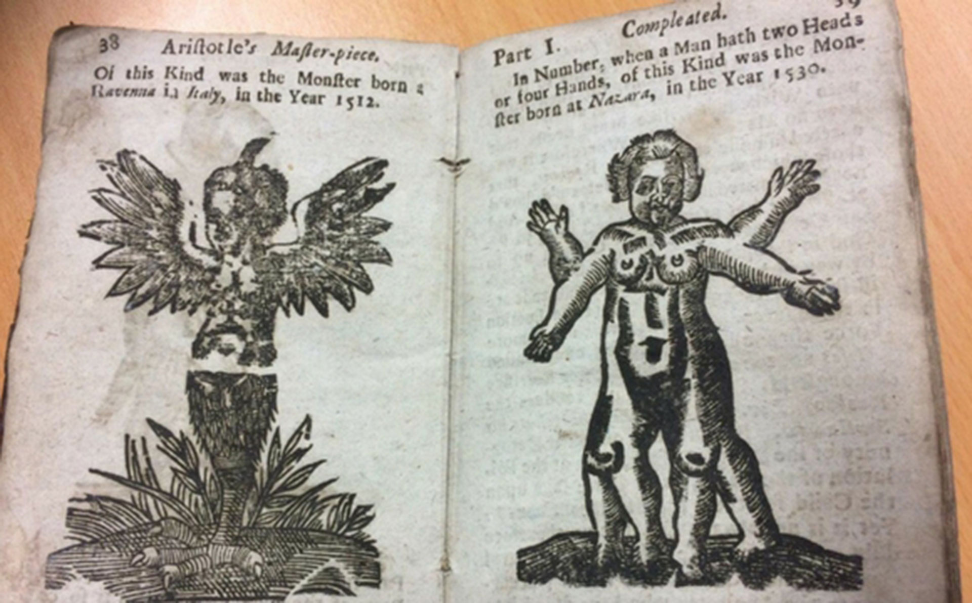 Ilustraciones de las bestias del libro