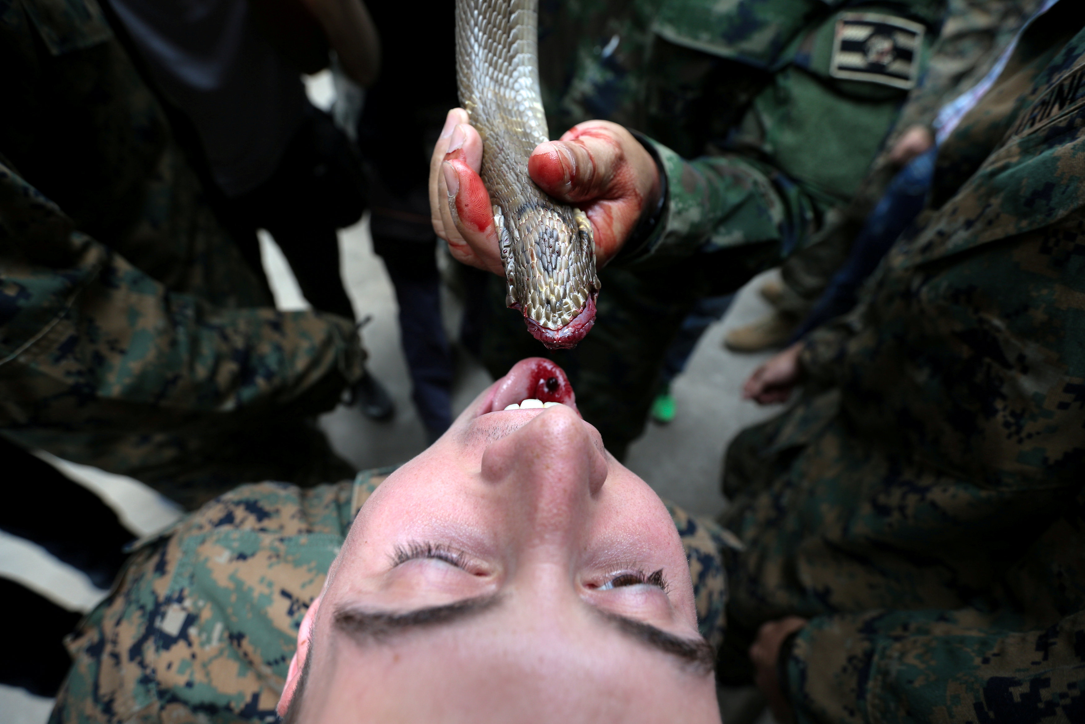 (REUTERS/Athit Perawongmetha TPX IMAGES OF THE DAY)