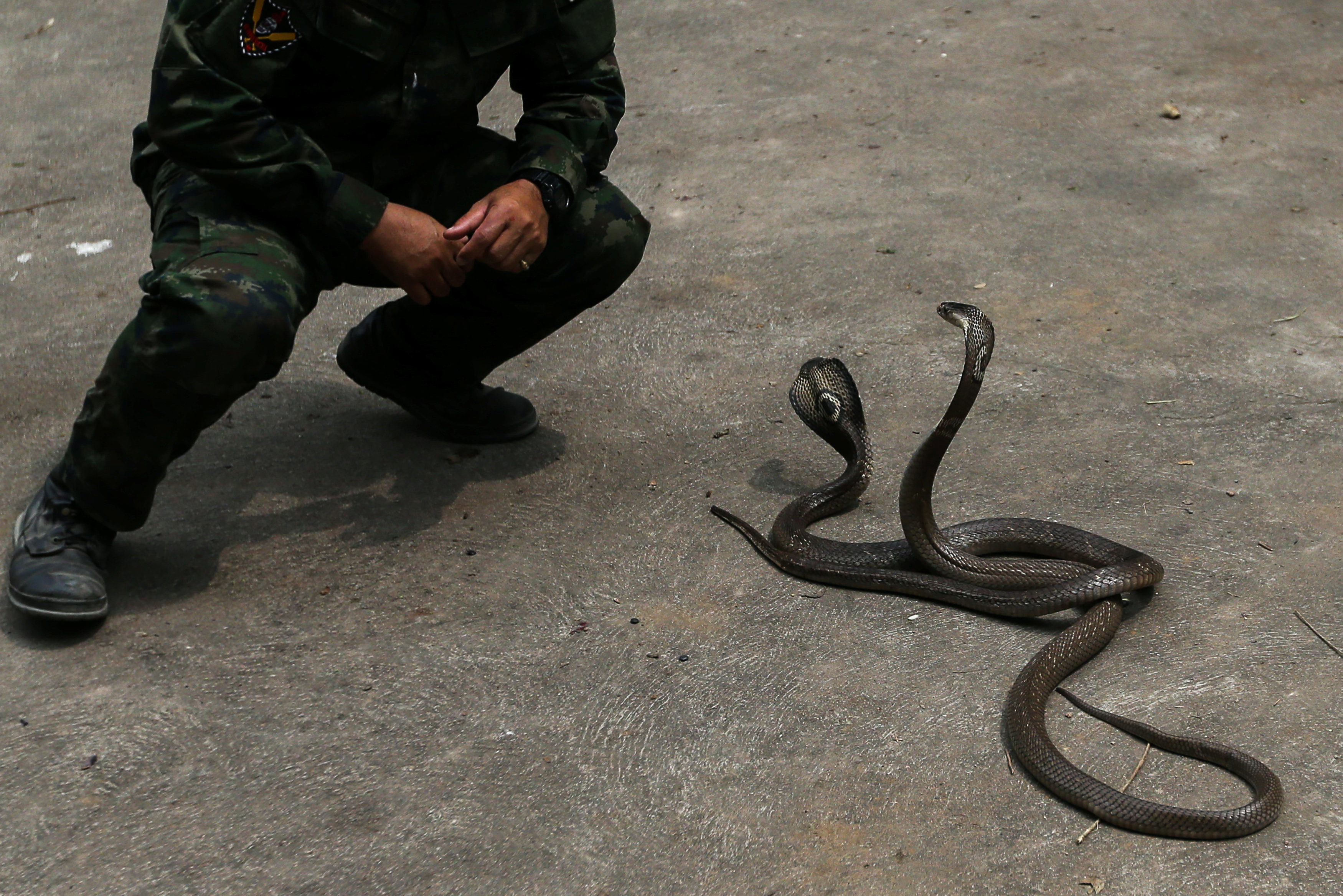 (REUTERS/Athit Perawongmetha)