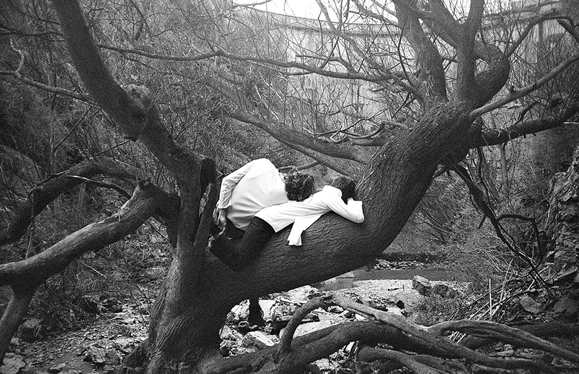 Nombre de la imagen: cuando quiero recordar – Fotógrafo: Bianca Rocca, Auckland University, New Zealand