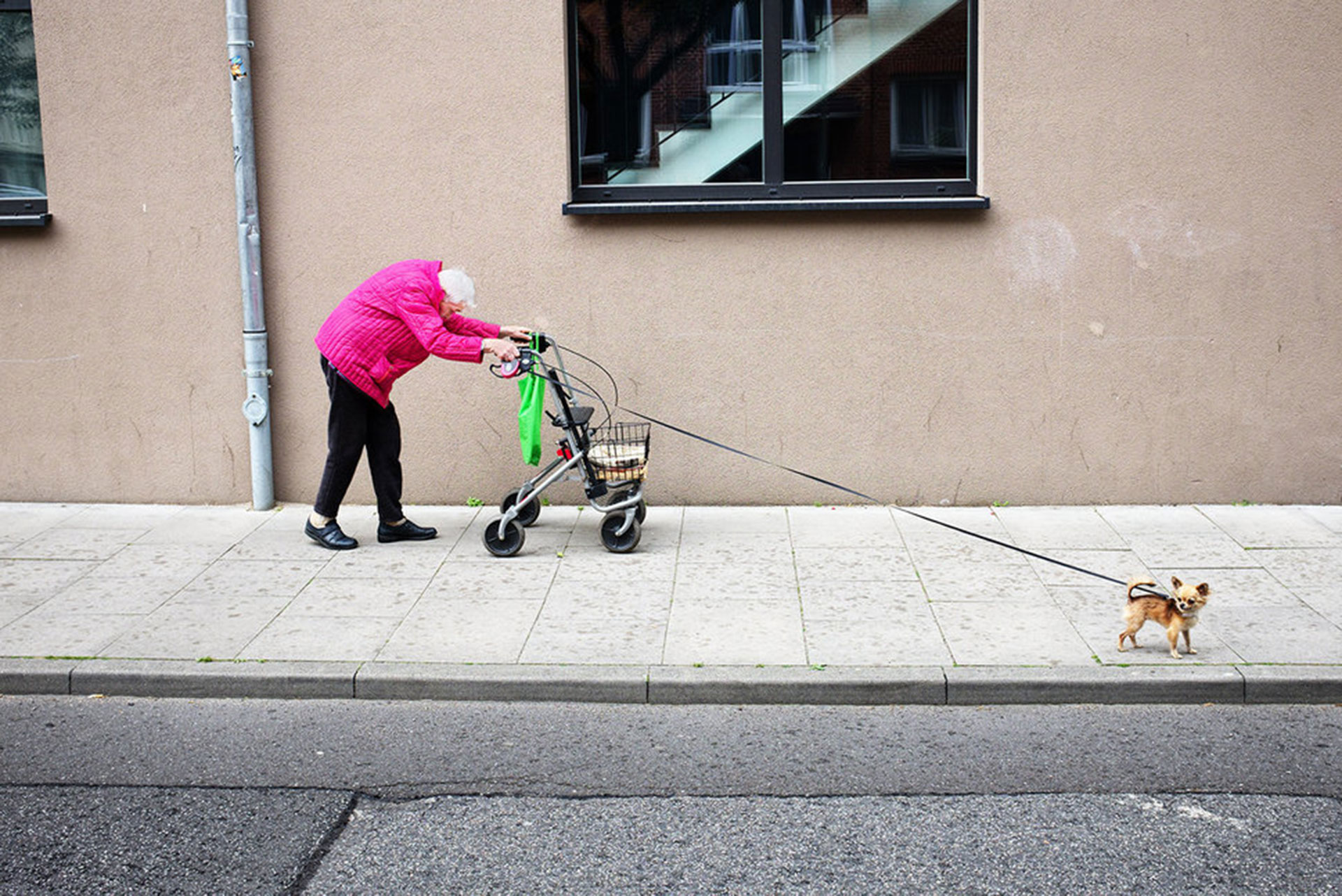 Competencia “Abierto”– Categoría “Fotografía Callejera”: la dama más gentil de su vecindario en Hamburgo, Alemania – siempre con estilo, colorida, de buen humor, sonriente, sin quejarse, incluso a través de las luchas diarias. Nunca se la ve sin su mejor amiga, su perrito. (Gentileza Sony World Photography Awards)