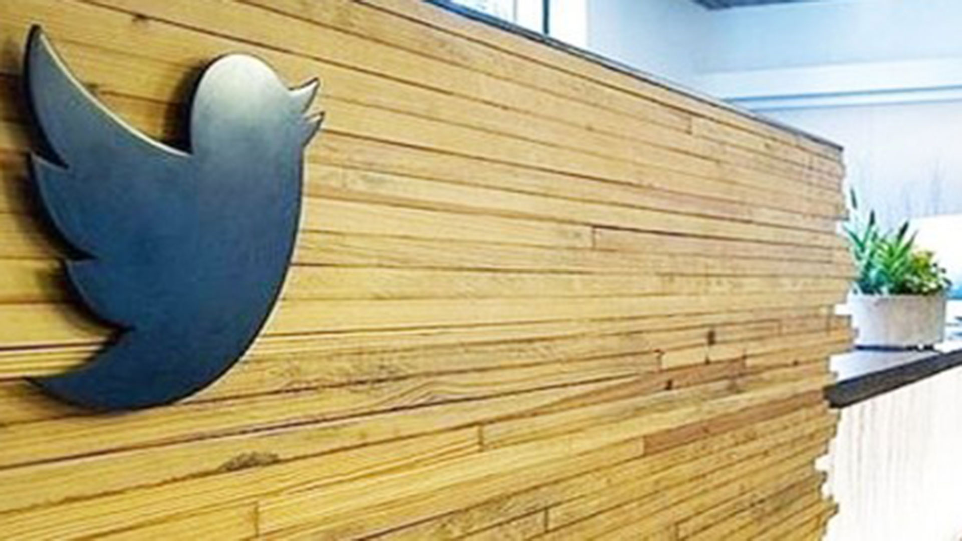 Twitter fue el centro del estudio que indicó que los rusos interfirieron en las elecciones italianas con mensajes xenófobos