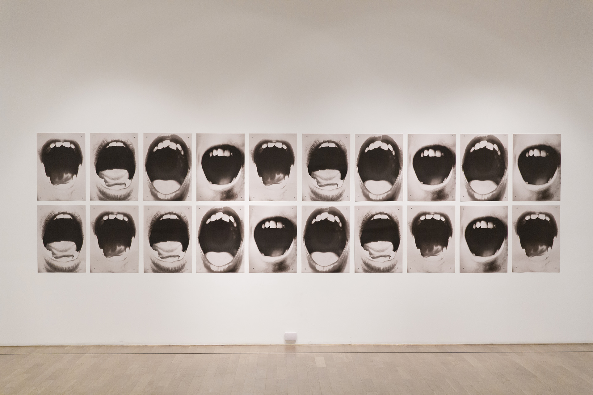 Graciela Sacco (Argentina, 1956-2017) “Bocanada”, 1993-2013. Veinte pósters off set, 50 cm x 70 cm cada uno. Donación Graciela Sacco, 2013 (Museo Nacional de Bellas Artes)
