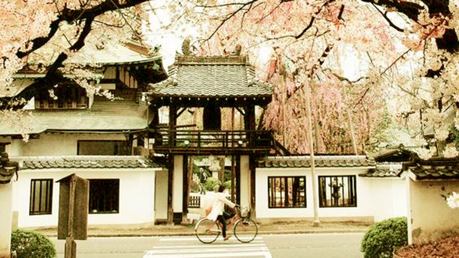 La sabiduría del Japón