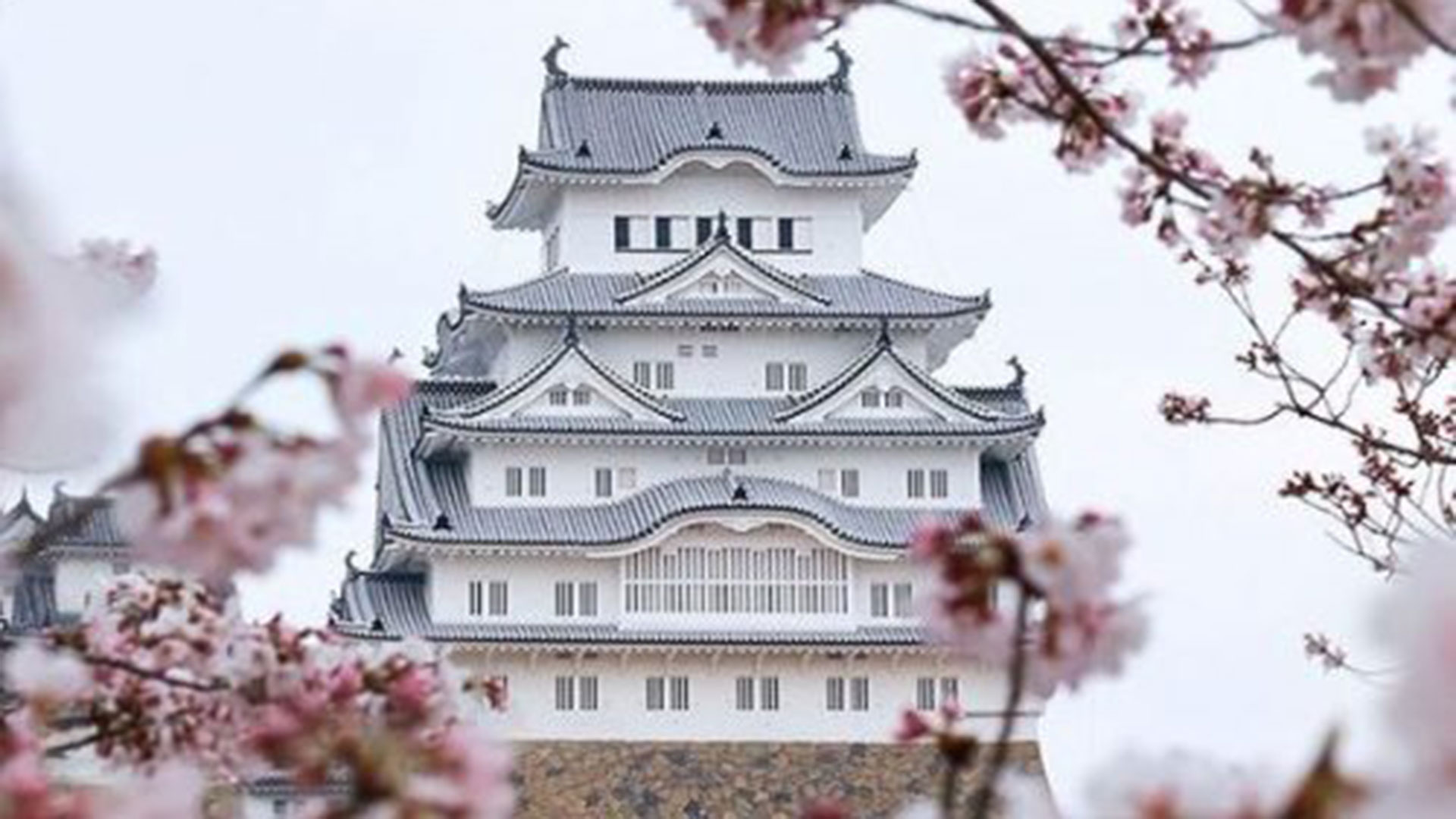La sabiduría del Japón