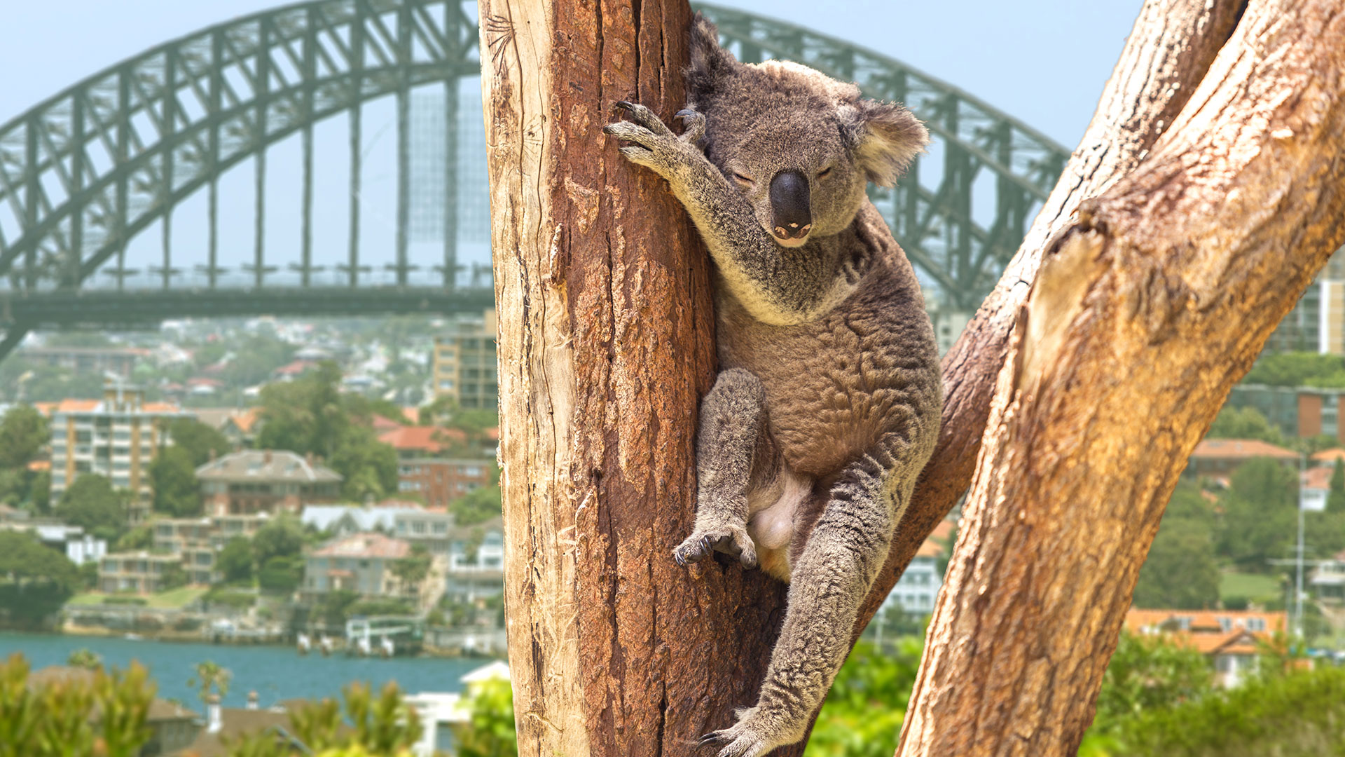 Australia es uno de los países con más posibilidades para el turismo aventura del mundo (Getty Images)