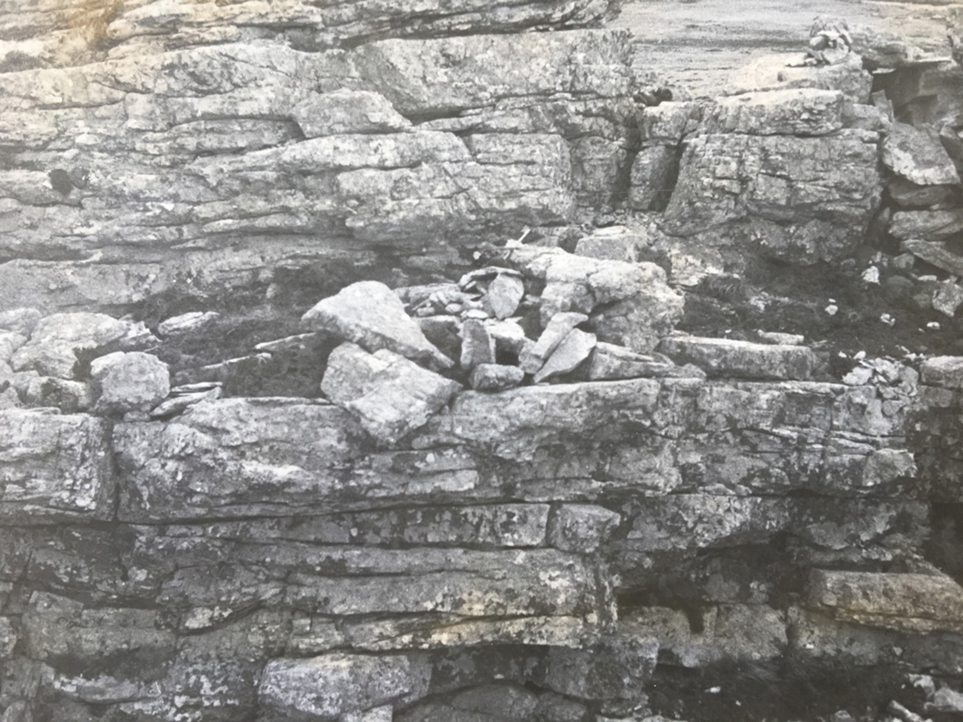 “Yo veía piedras apliadas o tierra removida y hacia allá iba en busca de los soldados muertos en combate”, recuerda Cardozo