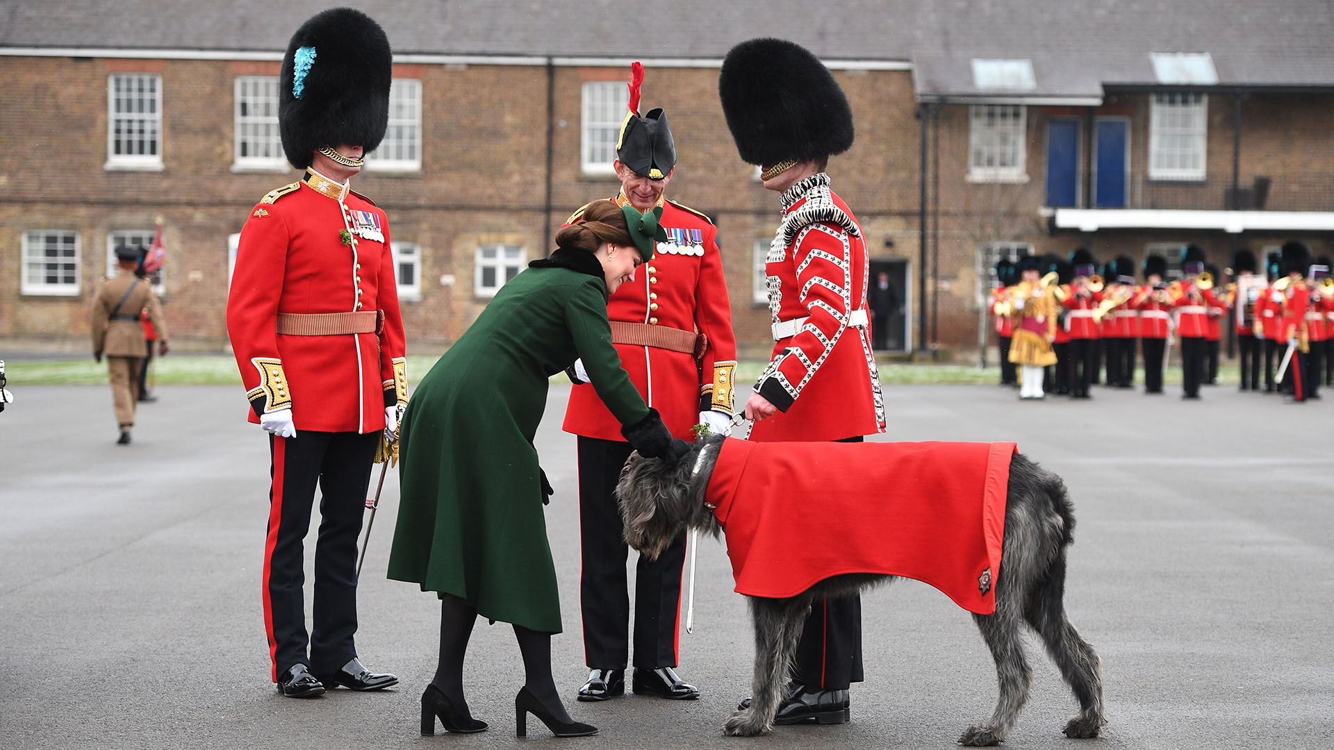 Domhnall, un perro de la raza Irish Wolffhound (lobero irlandés), es la mascota de la guardia irlandesa, fiel a su estilo Kate se mostró cercana