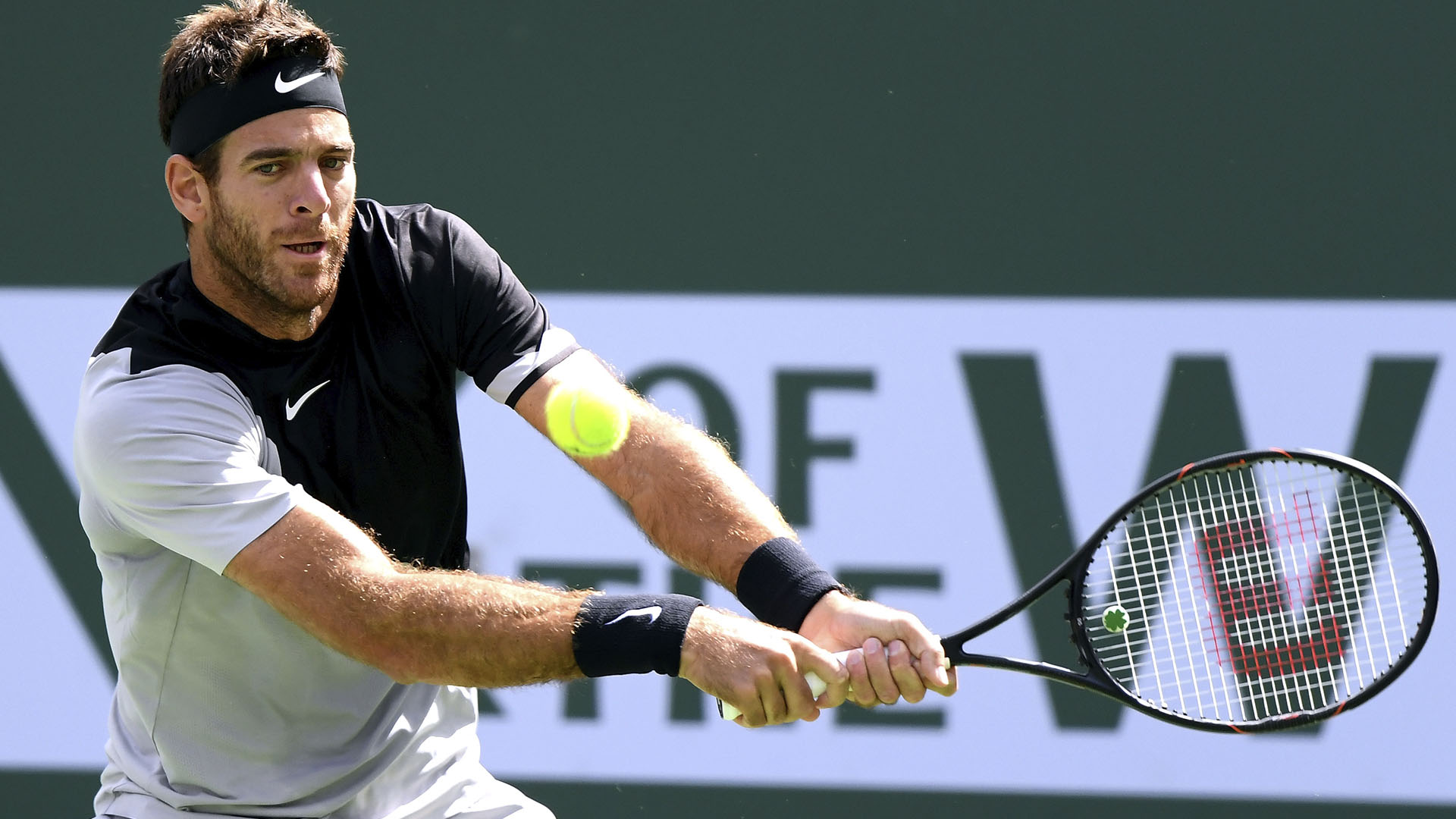 “La Torre” venía de ser campeón en el ATP de Acapulco (AFP)