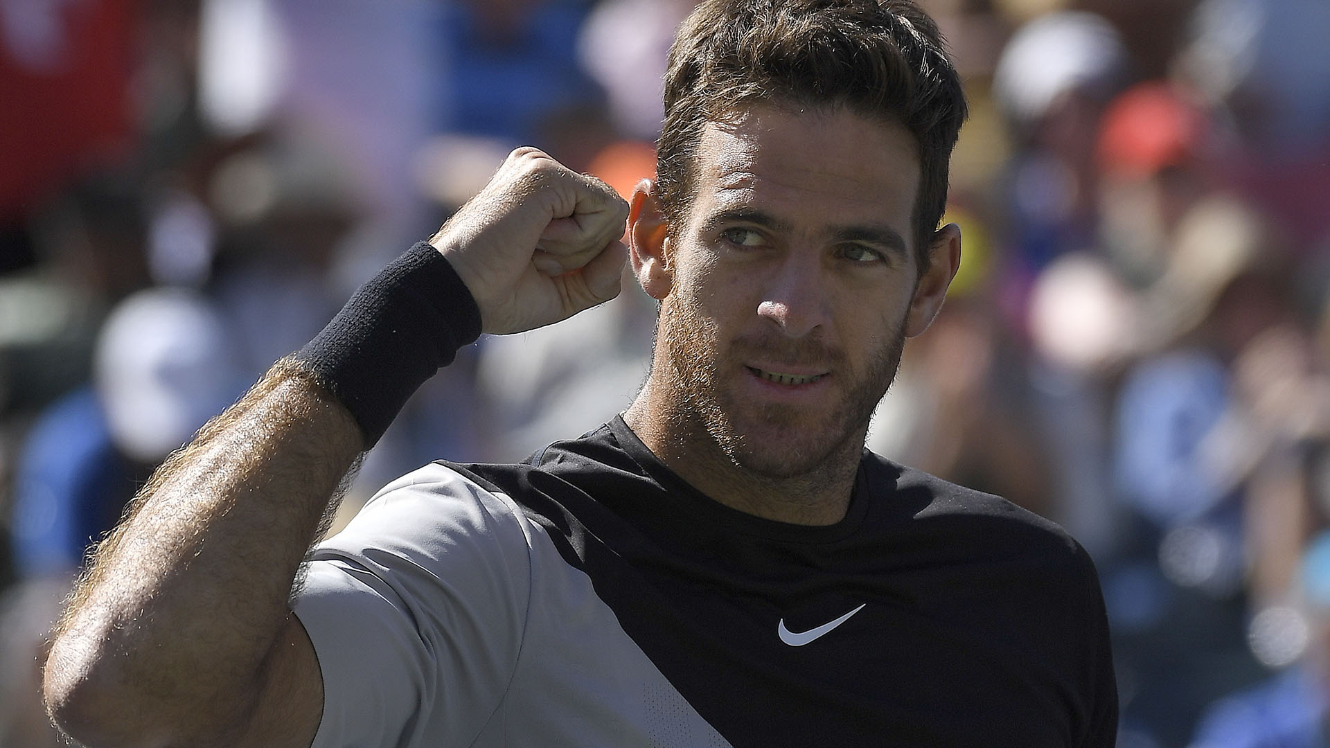 Juan Martín del Potro se consagró campeón en Indian Wells tras derrotar a Roger Federer (AP)