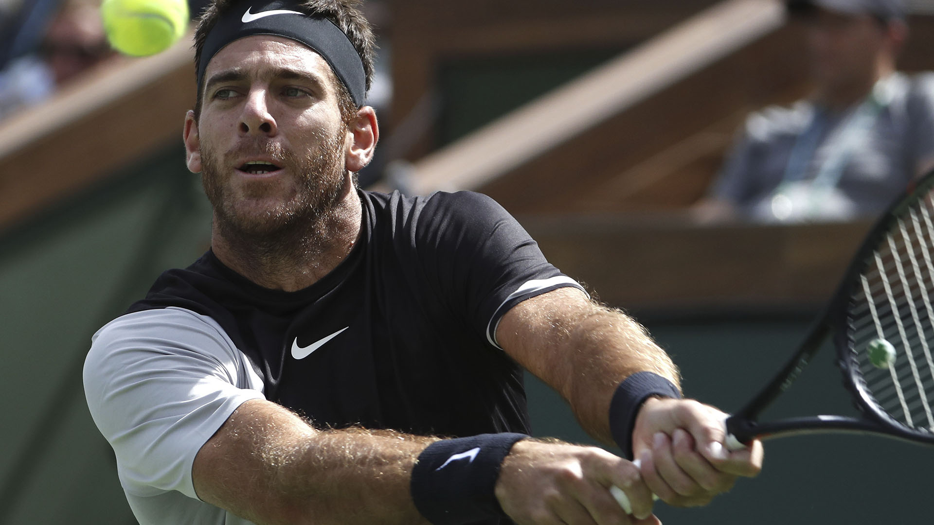 Del Potro llegó a 22 títulos en su carrera profesional