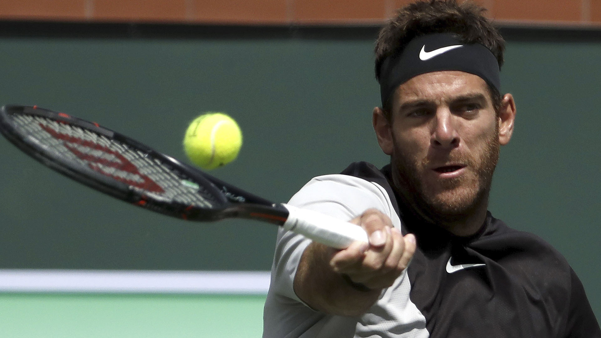 Delpo venció en semifinales al canadiense Milos Raonic