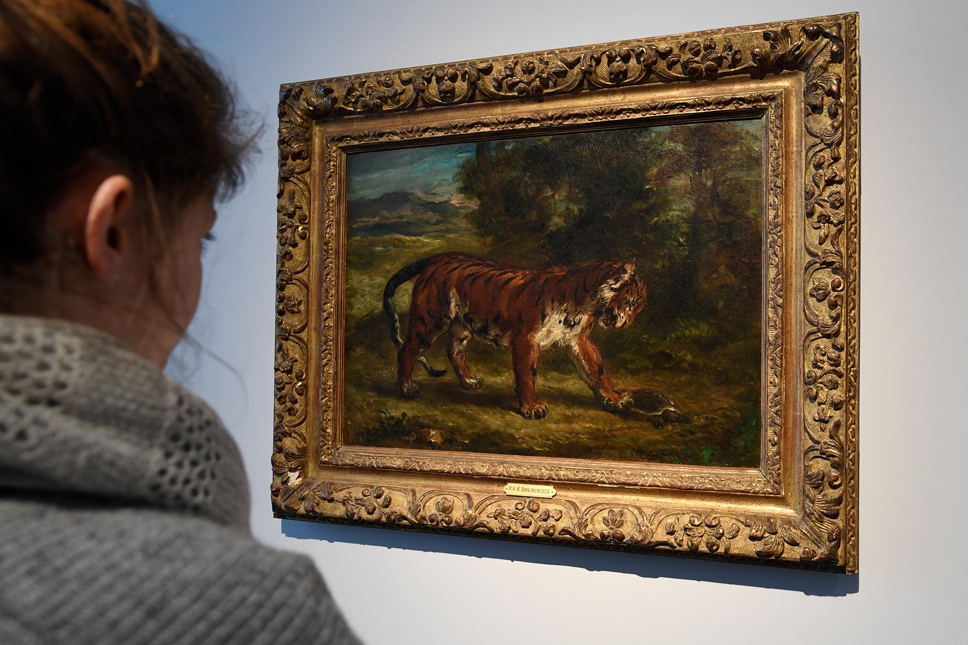 “Tigre jugando con una tortuga” (1862), por Eugene Delacroix, valuada en USD 7 millones (AFP)