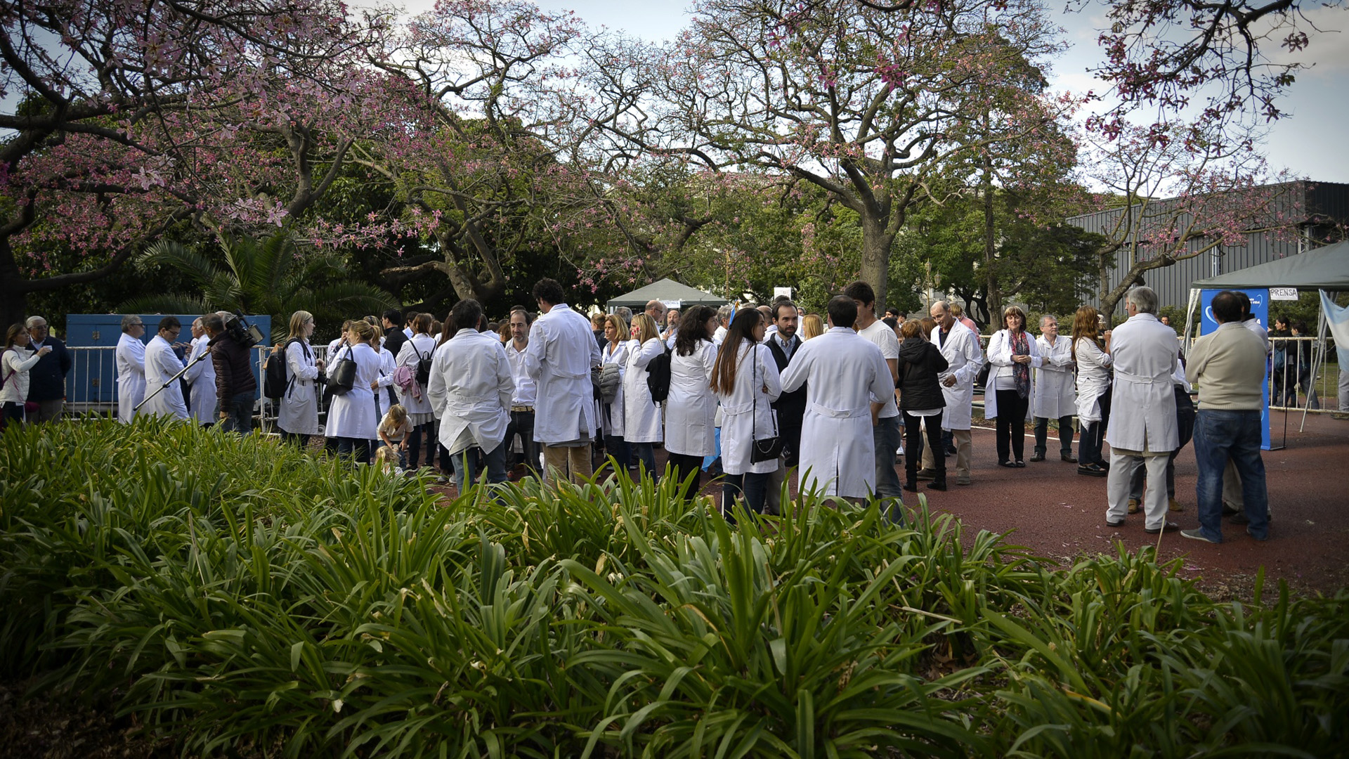 Agrupaciones de médicos que repudian el proyecto participaron de la convocatoria