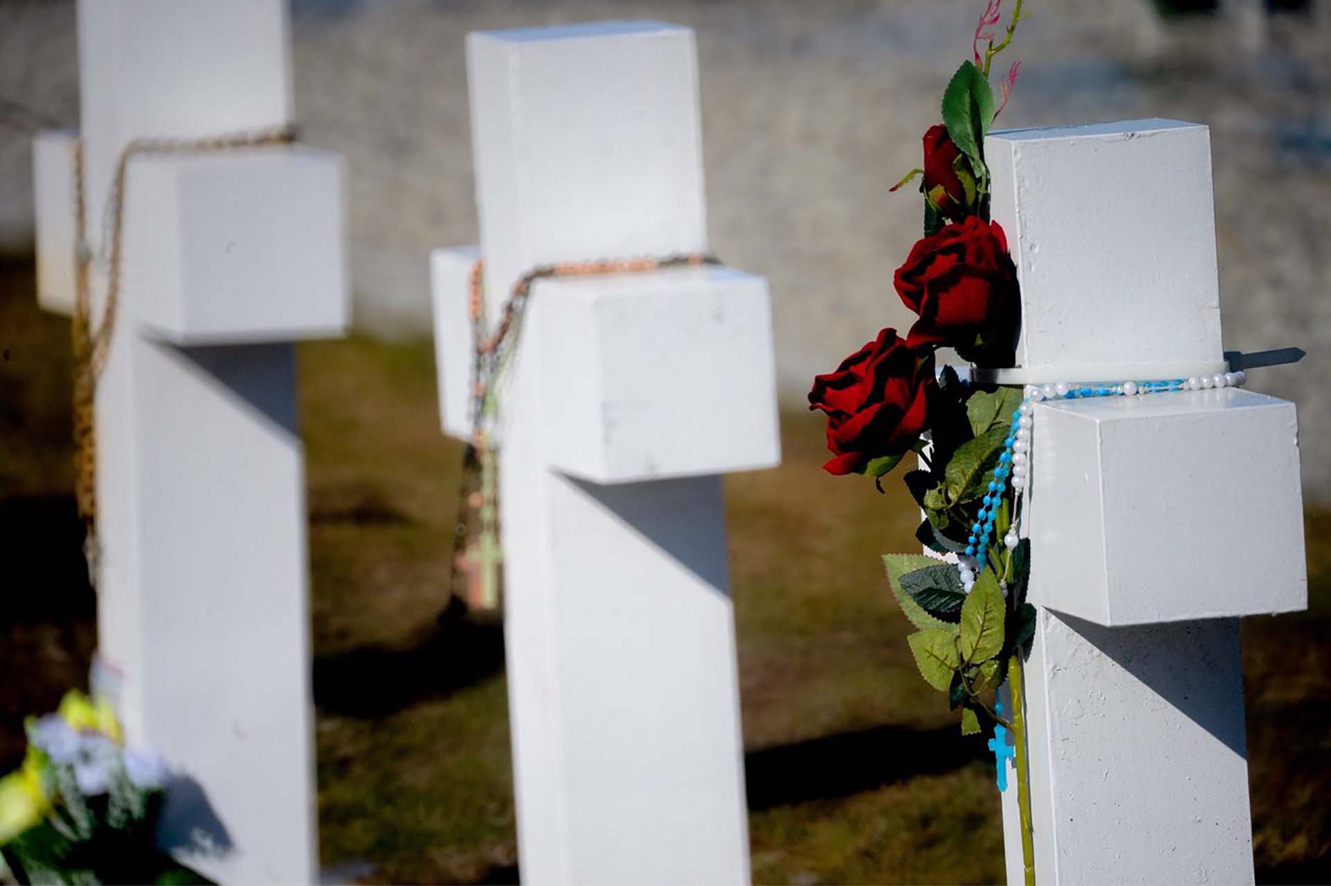 En cada cruz se pusieron flores blancas, amarillas y solo algunas rojas. de todas ellas colgaban rosarios de colores (Foto: Presidencia de la Nación/Secretaria DDHH/ Víctor Bugge)