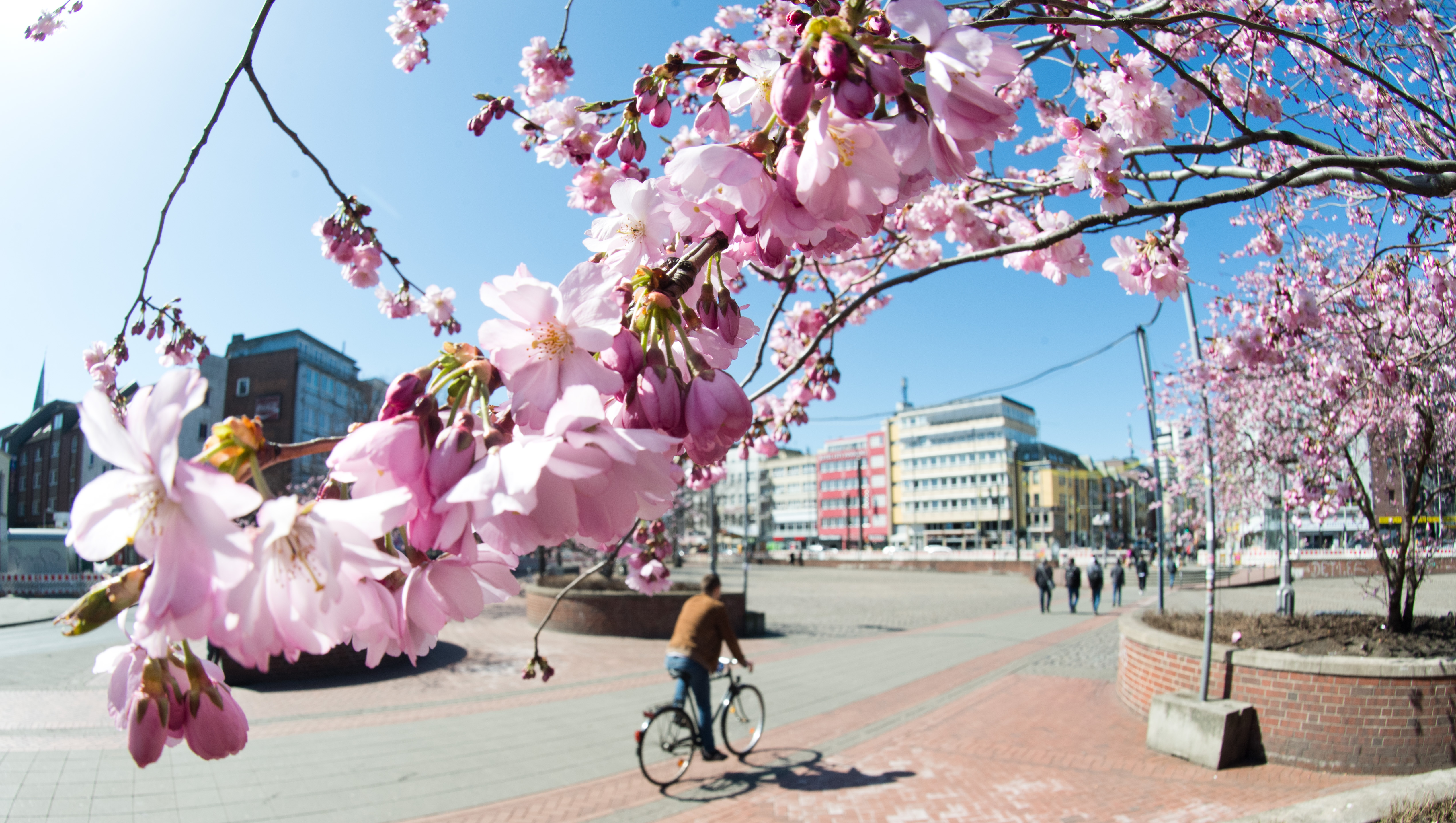 Hannover, Alemania (AFP / DPA / Julian Stratenschulte / Germany OUT)