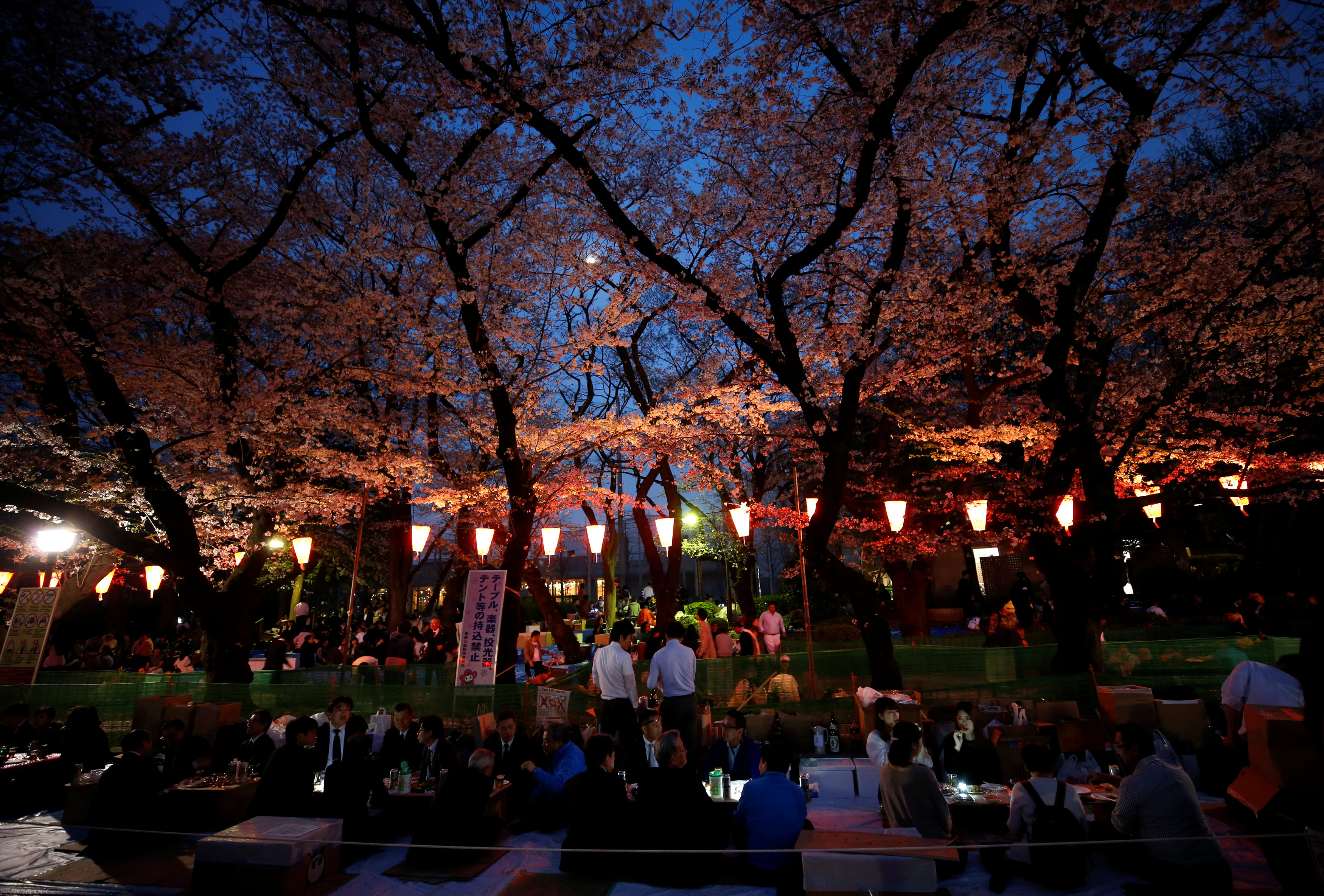 El parque Ueno en Tokio (Reuters/Issei Kato)